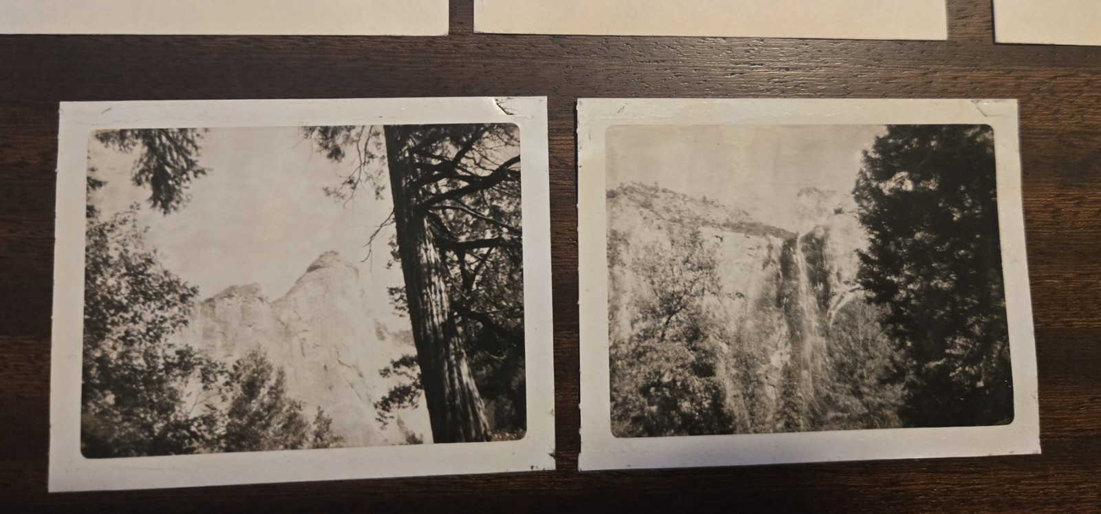Vintage Yosemite Ephemera Map Postcard Photo Permit Souvenir National Park Cali