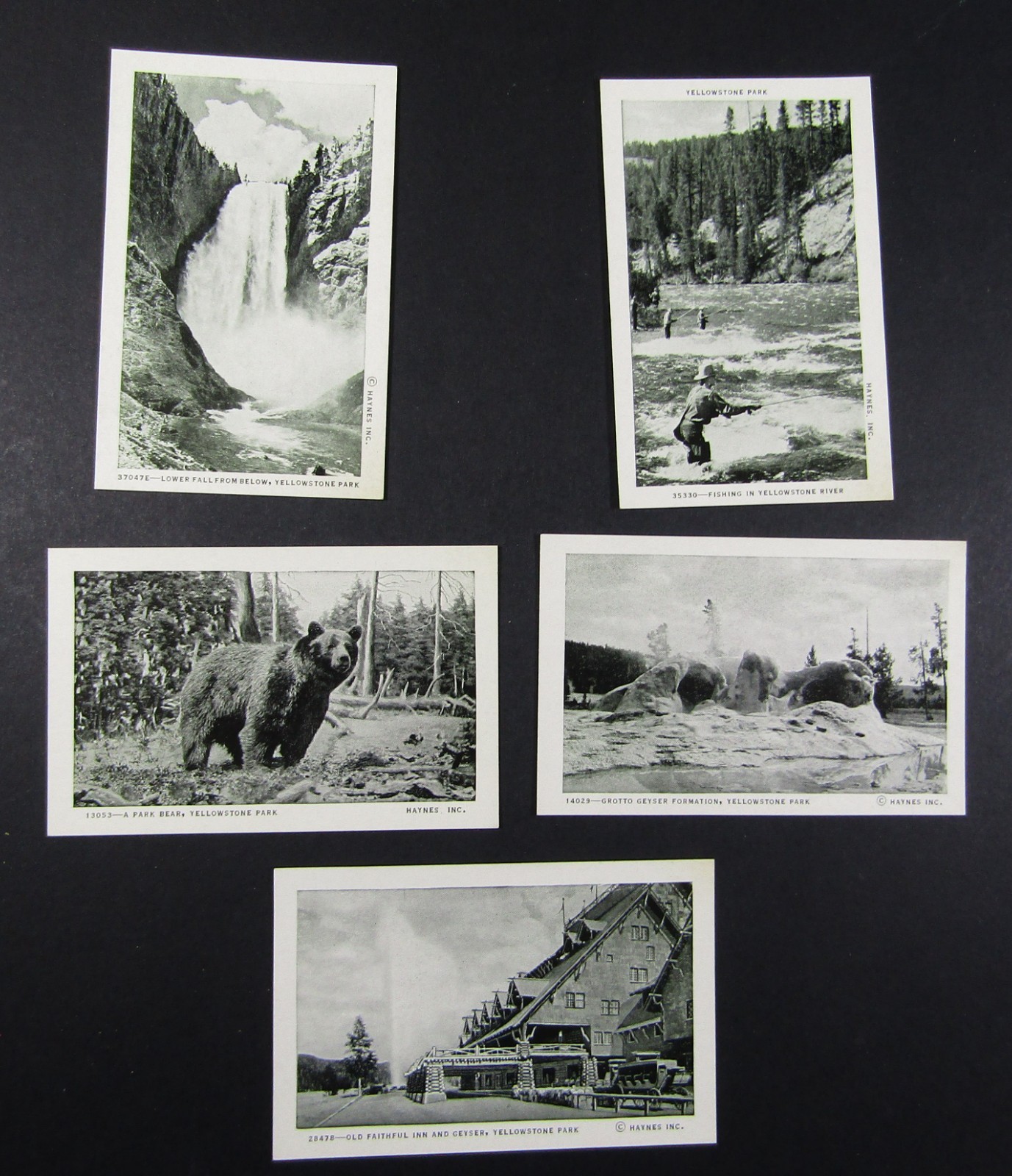 Souvenir Views 1920s pictures 20 Mini YELLOWSTONE National Park Haynes Excellent