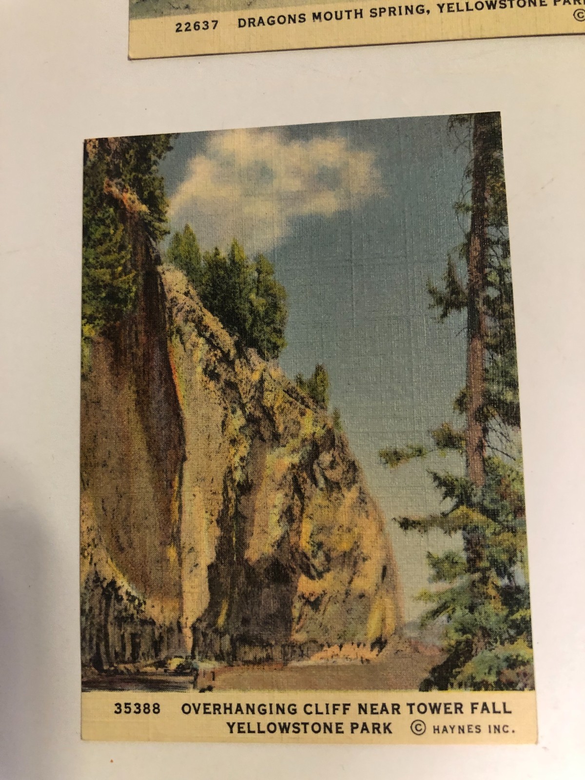 10 Haynes Inc small (2.5 x 3.5) Yellowstone color prints