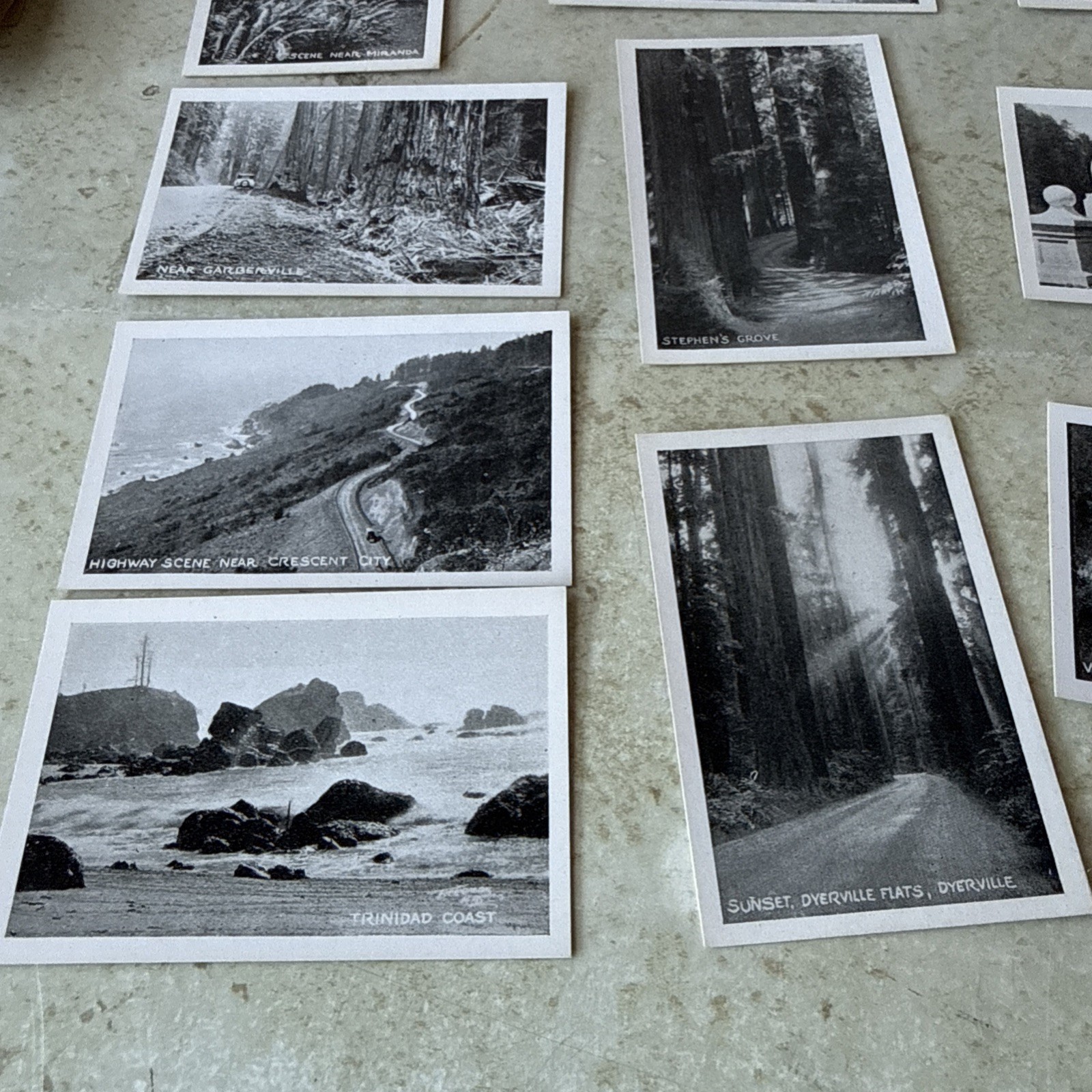 Souvenir Views Vtg picture 18 Mini Redwood Hwy CA