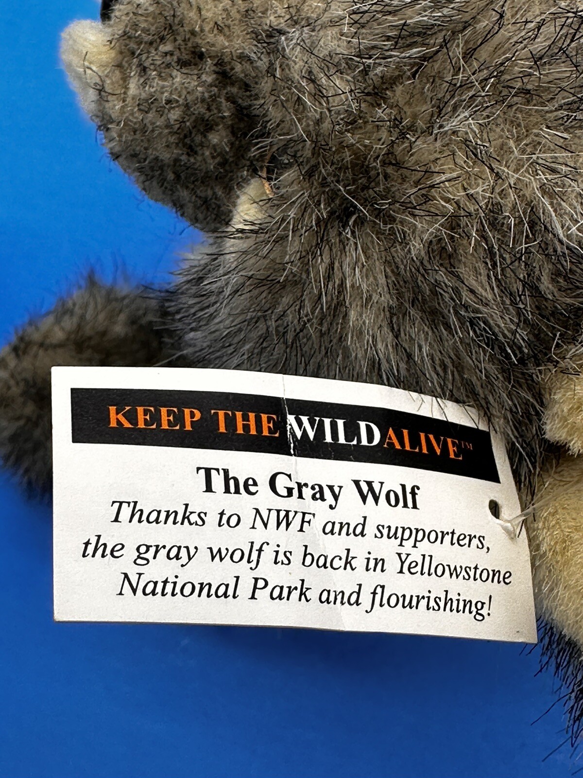 Yellowstone Park Vintage 7″ Gray Wolf Steven Smith National Wildlife Federation