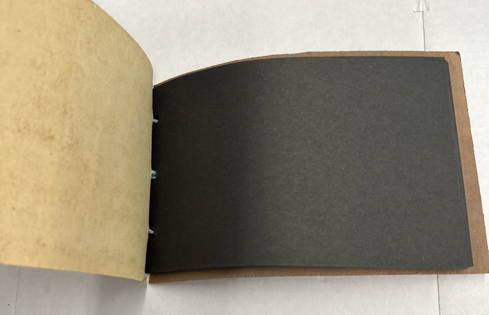 Suade Yellowstone National Park Souvenir Photo Album Hand Painted Bear 20 pages