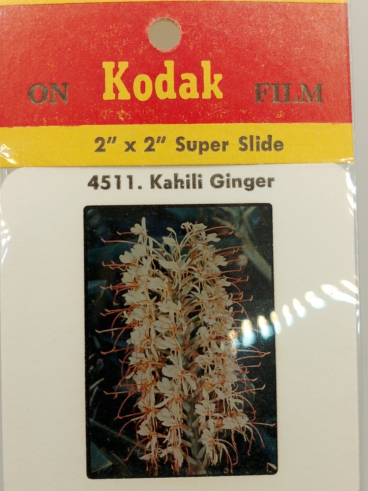 Vintage Kodak 5 Color Slides 2×2 – Hawaiian Flowers