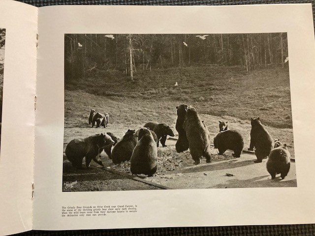 Haynes Souvenir Album of Yellowstone National Park 1940 Wyoming Illustrated