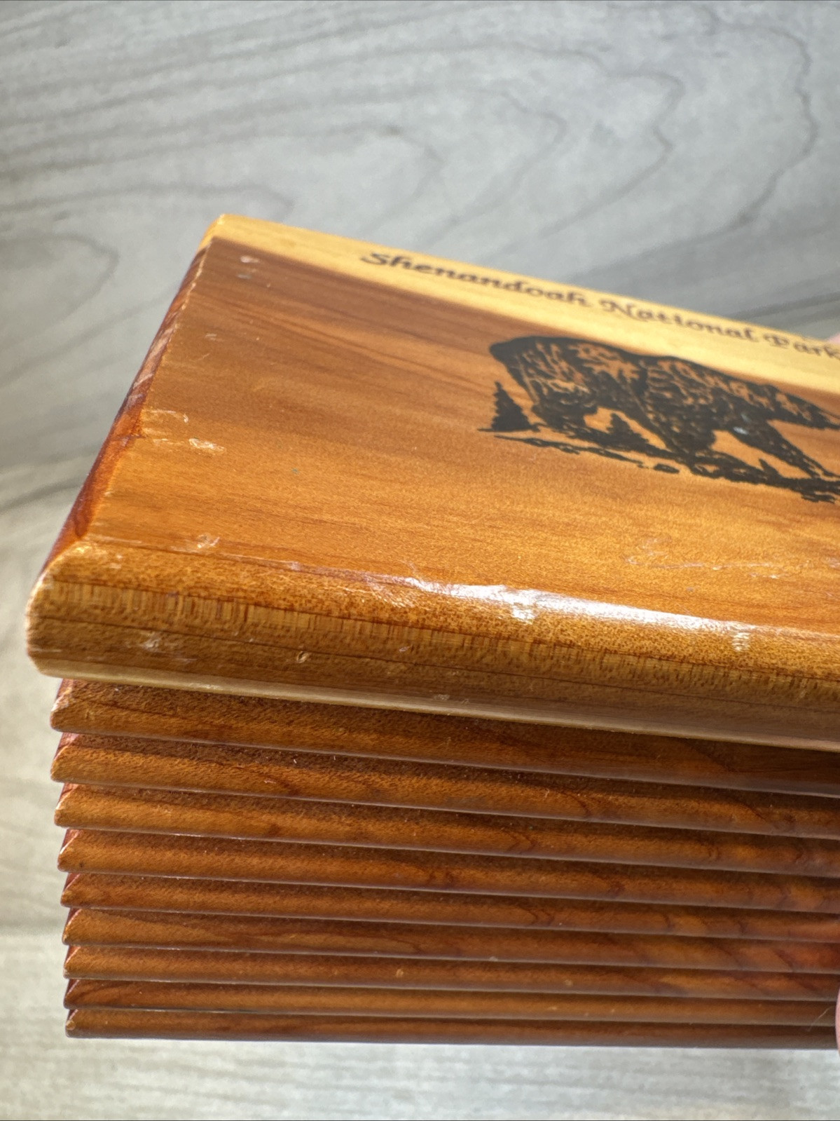 Vintage Shenandoah National Park Cedar Box Grizzly Bear Nature Wood Souvenir