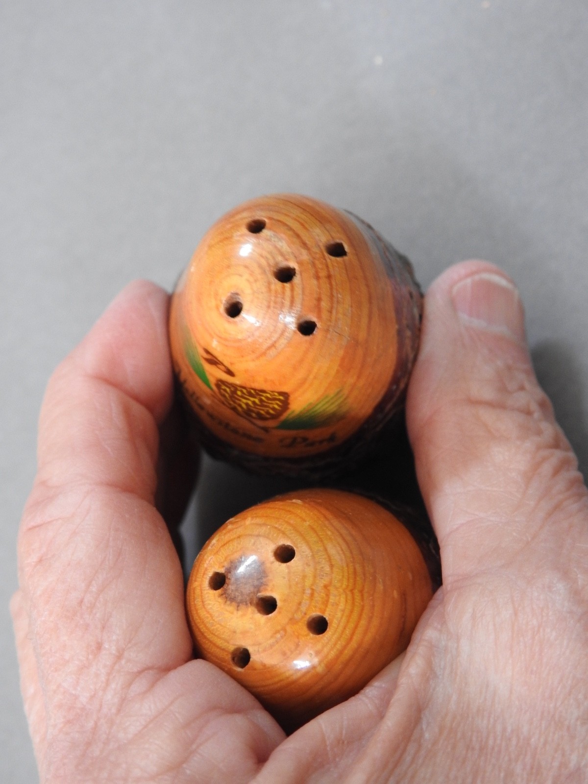 vintage YELLOWSTONE PARK souvenir wood salt & pepper shakers