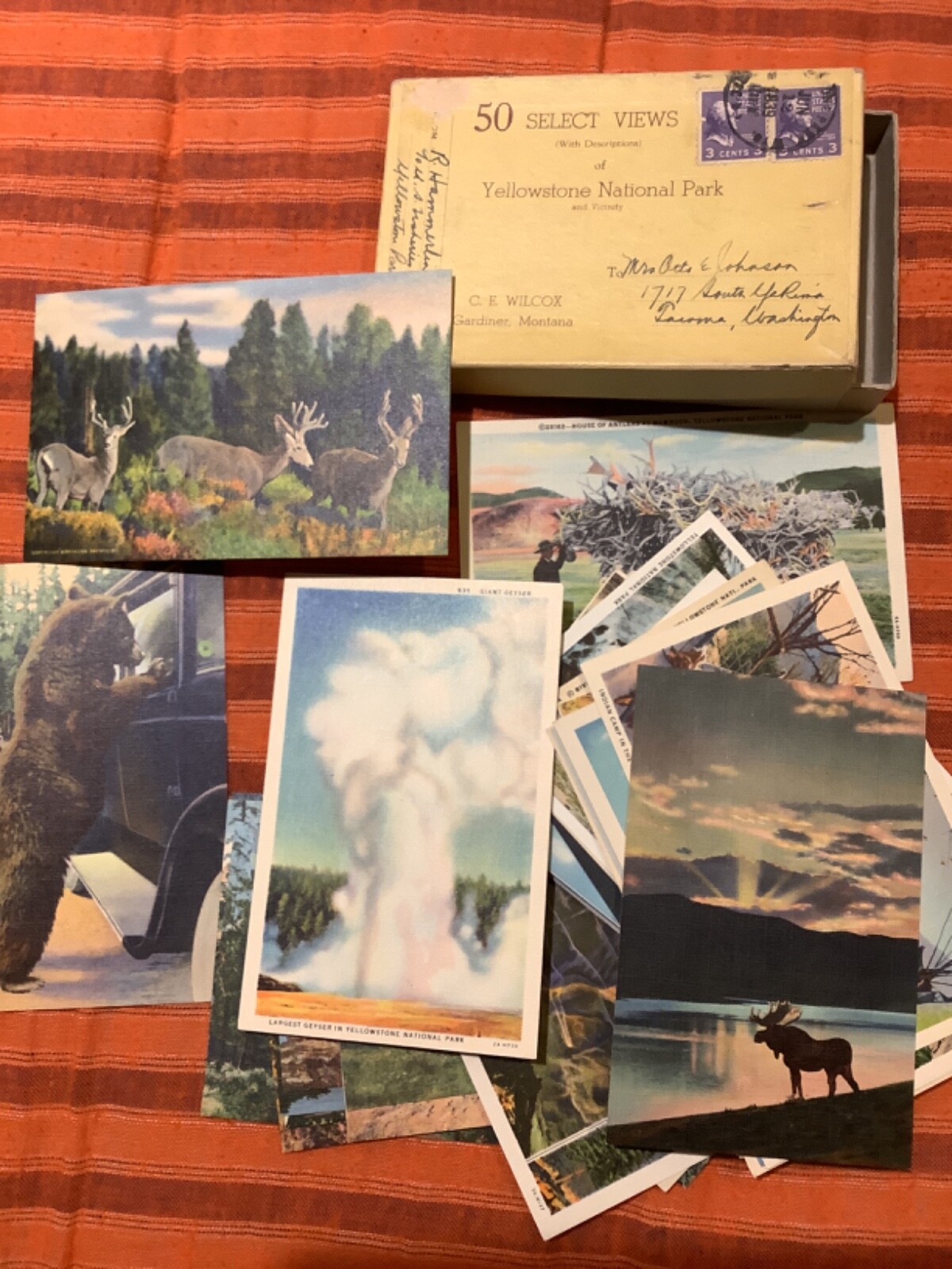 Yellowstone National Park Views Vintage 1920s Fifty Postcard Set
