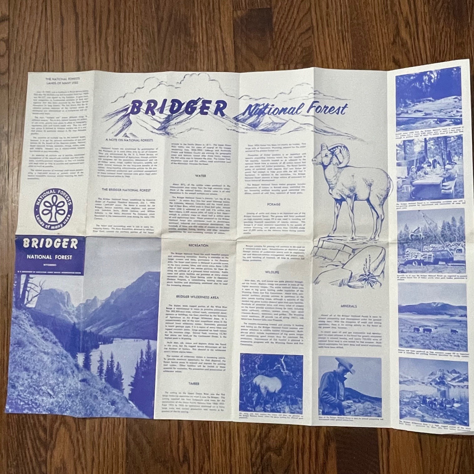 Vintage 1961 Bridger National Forest Wyoming Map US Forest Service Brochure