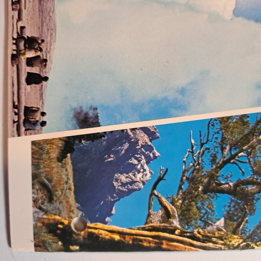Yellowstone Grand Teton National Parks & Jackson Hole Country💥WYOMING c1960s