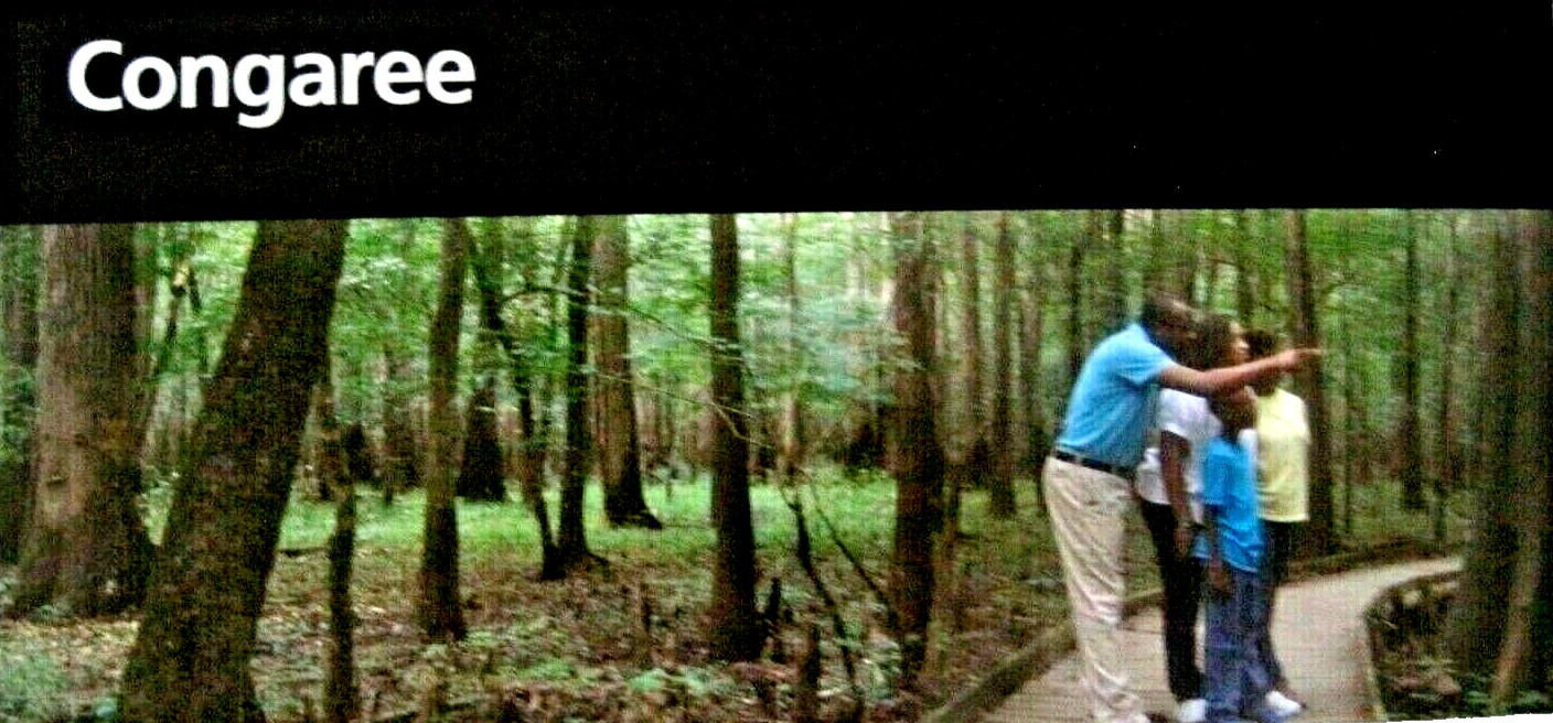 Congaree National Park South Carolina National Park Service Unigrid Brochure Map