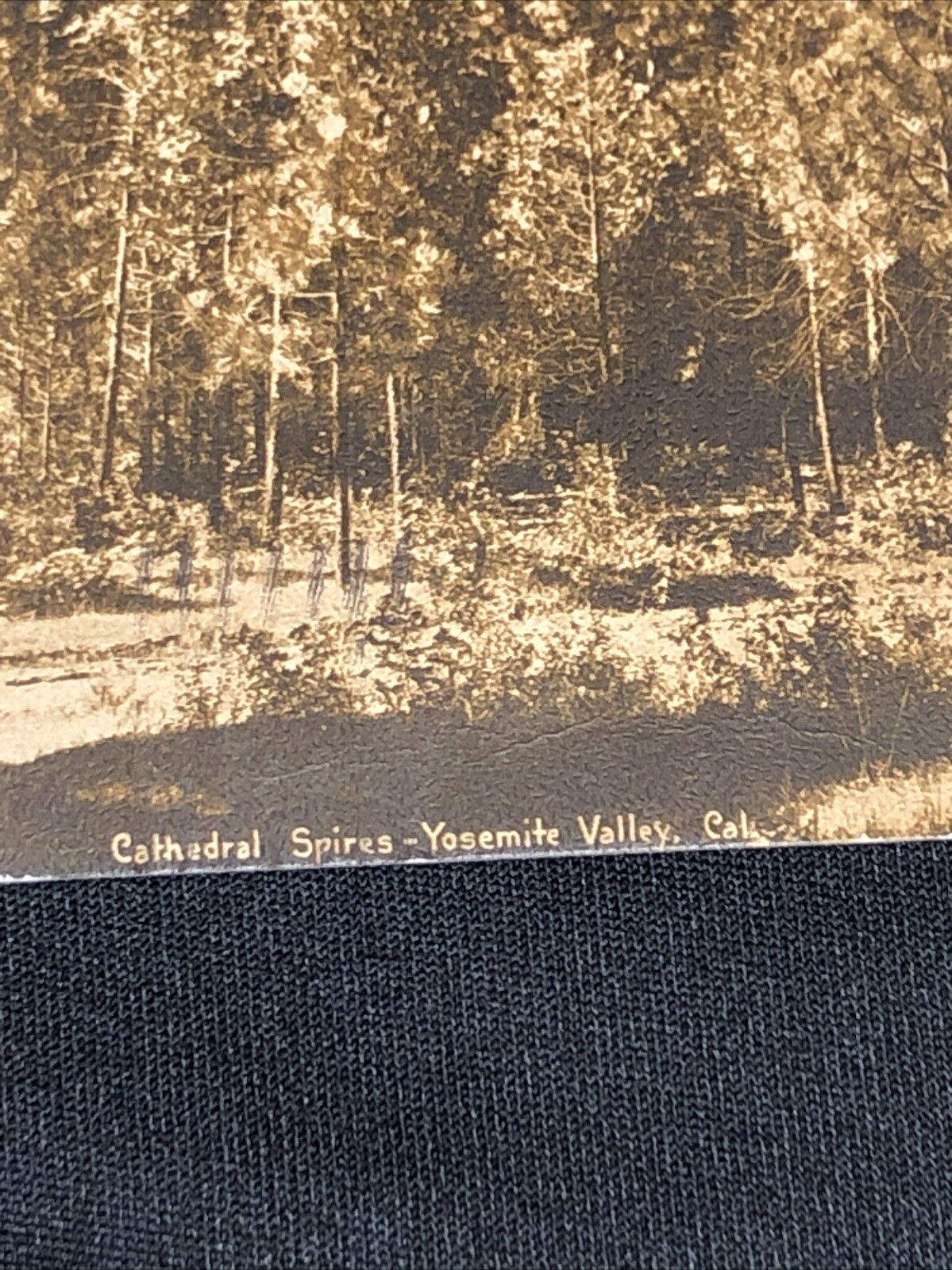 Vintage Postcard Cathedral Spires Yosemite CA California 1911 (P127)