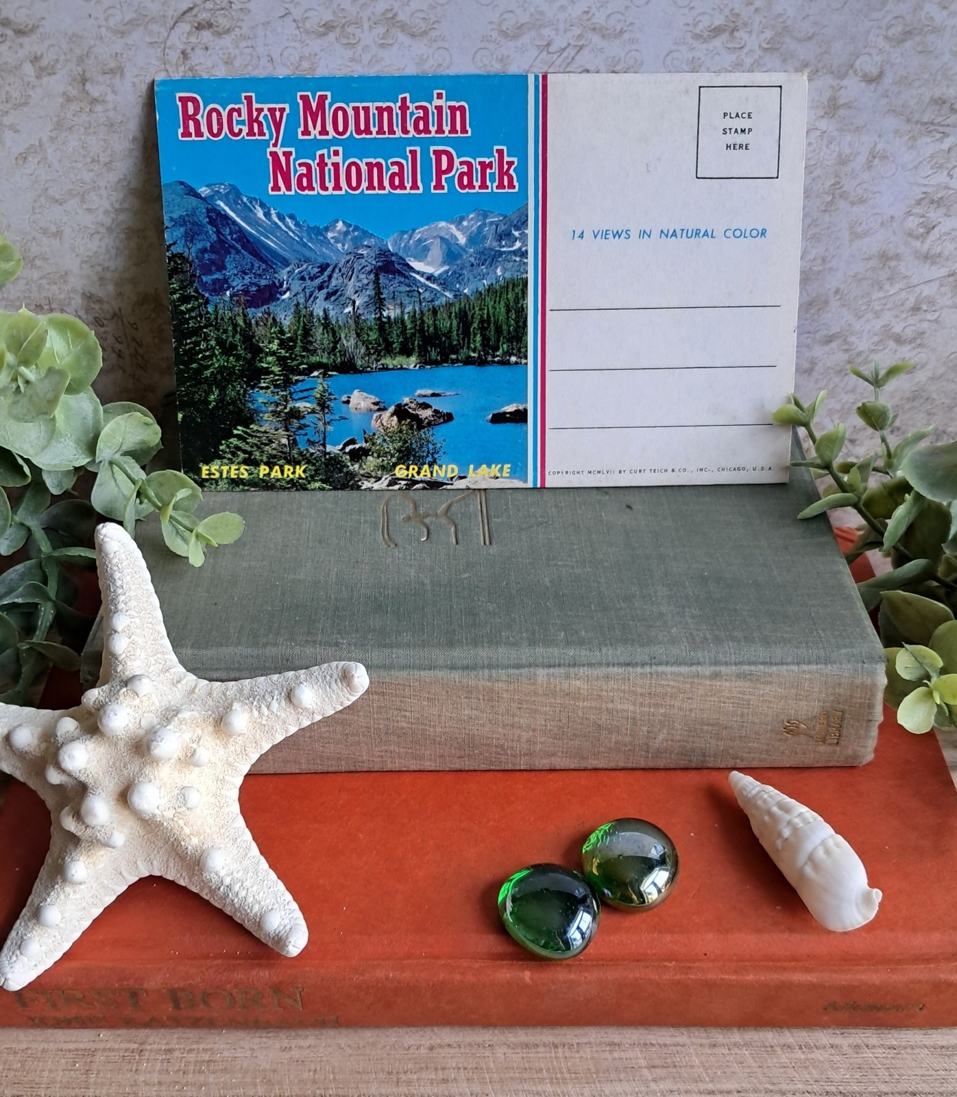Rocky Mountain National Park 14-View Fold-Out Postcard Folder, 1957