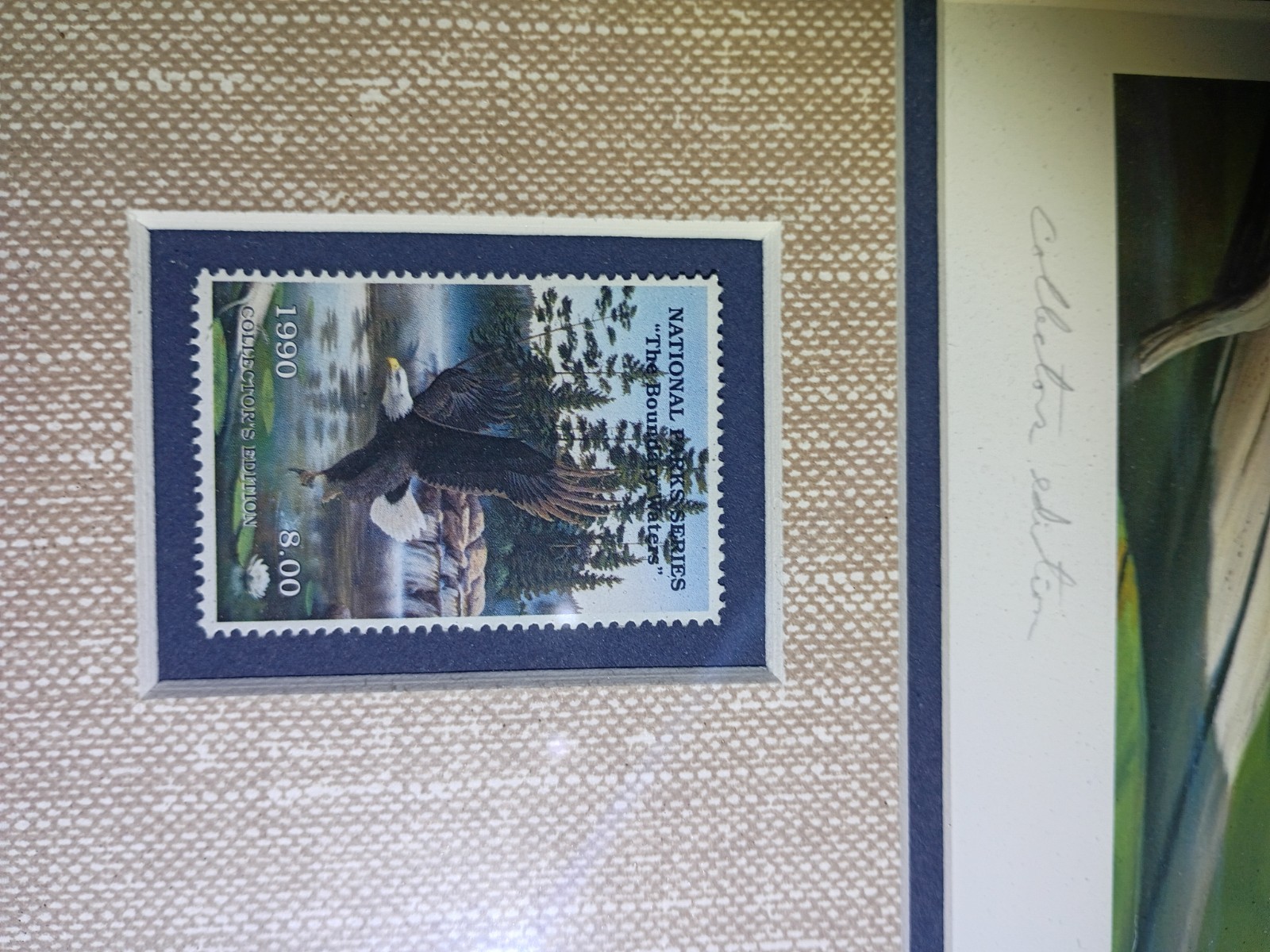 Desert Storm National Parks Bald Eagle Boundary Waters Leo Stans 1990 Framed
