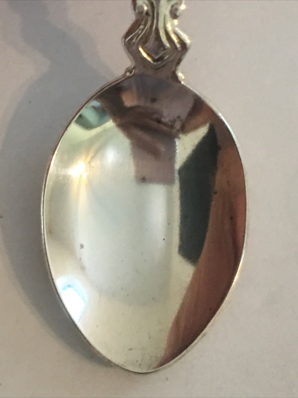 Waterton Lakes National Park Alberta Canada Vintage Souvenir Spoon Collectible