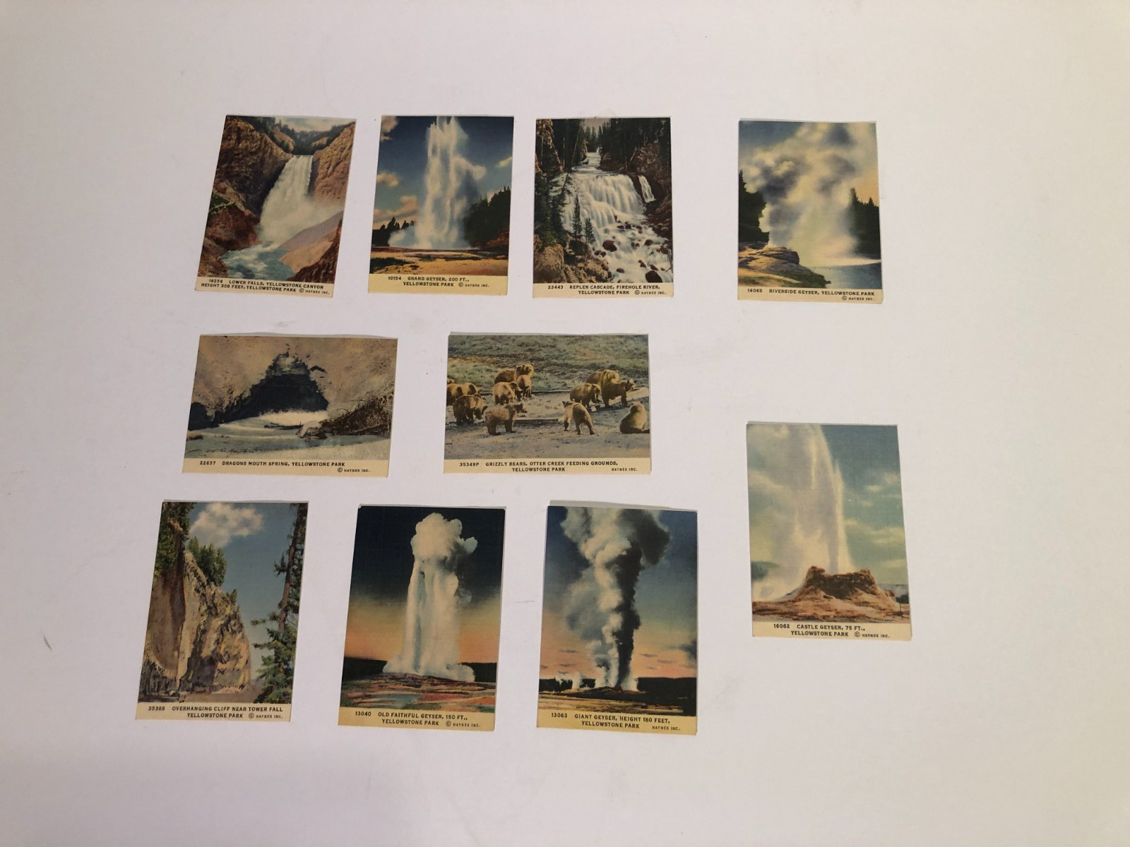 10 Haynes Inc small (2.5 x 3.5) Yellowstone color prints