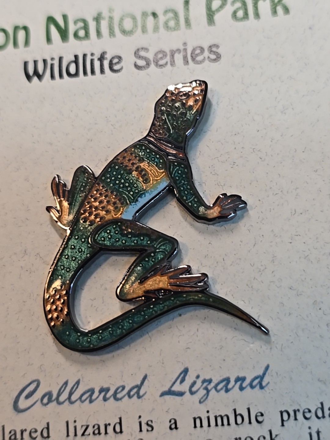 Collared Lizard Souvenir Lapel Pin Zion National Park Wildlife Series Utah