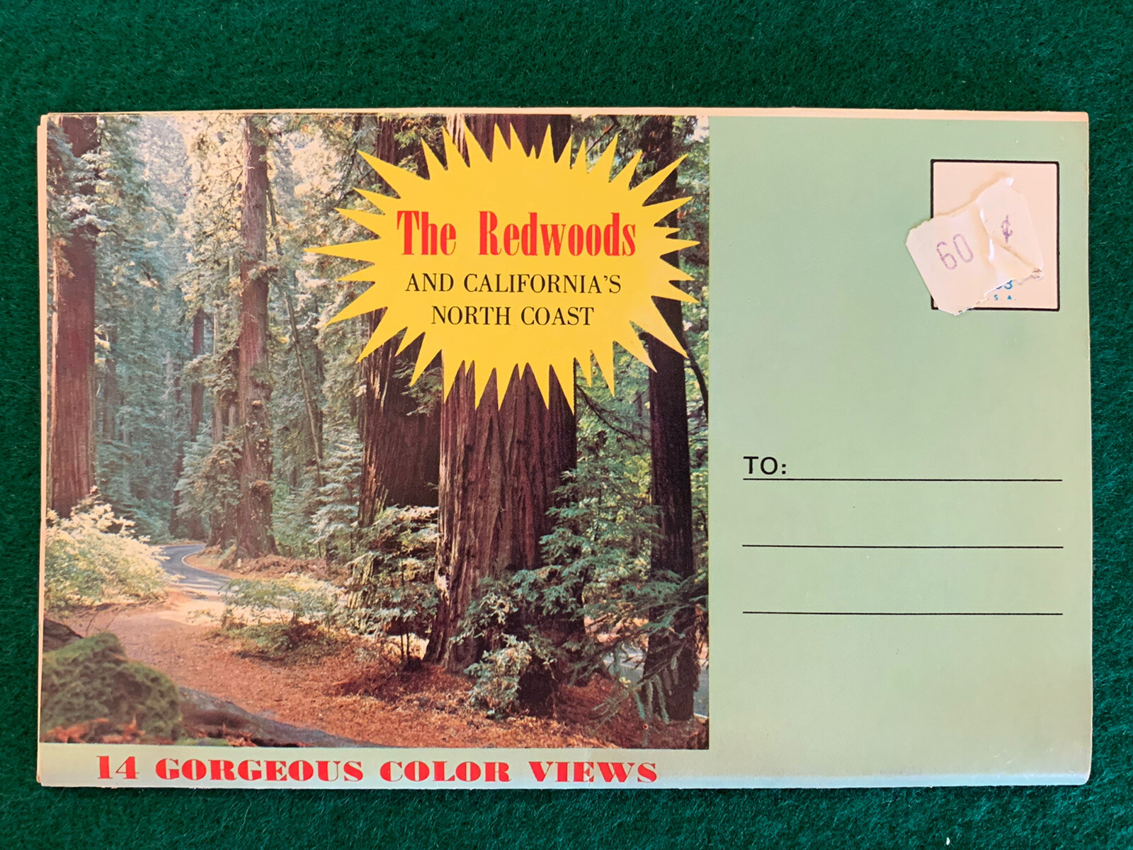 Vintage 1977 The Redwoods and Californias North Coast
