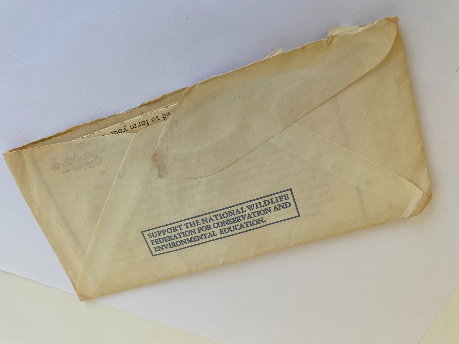 Vintage RANGER RICKS NATURE Club-MEMBERSHIP CARD/Letter-National Wildlife 1972