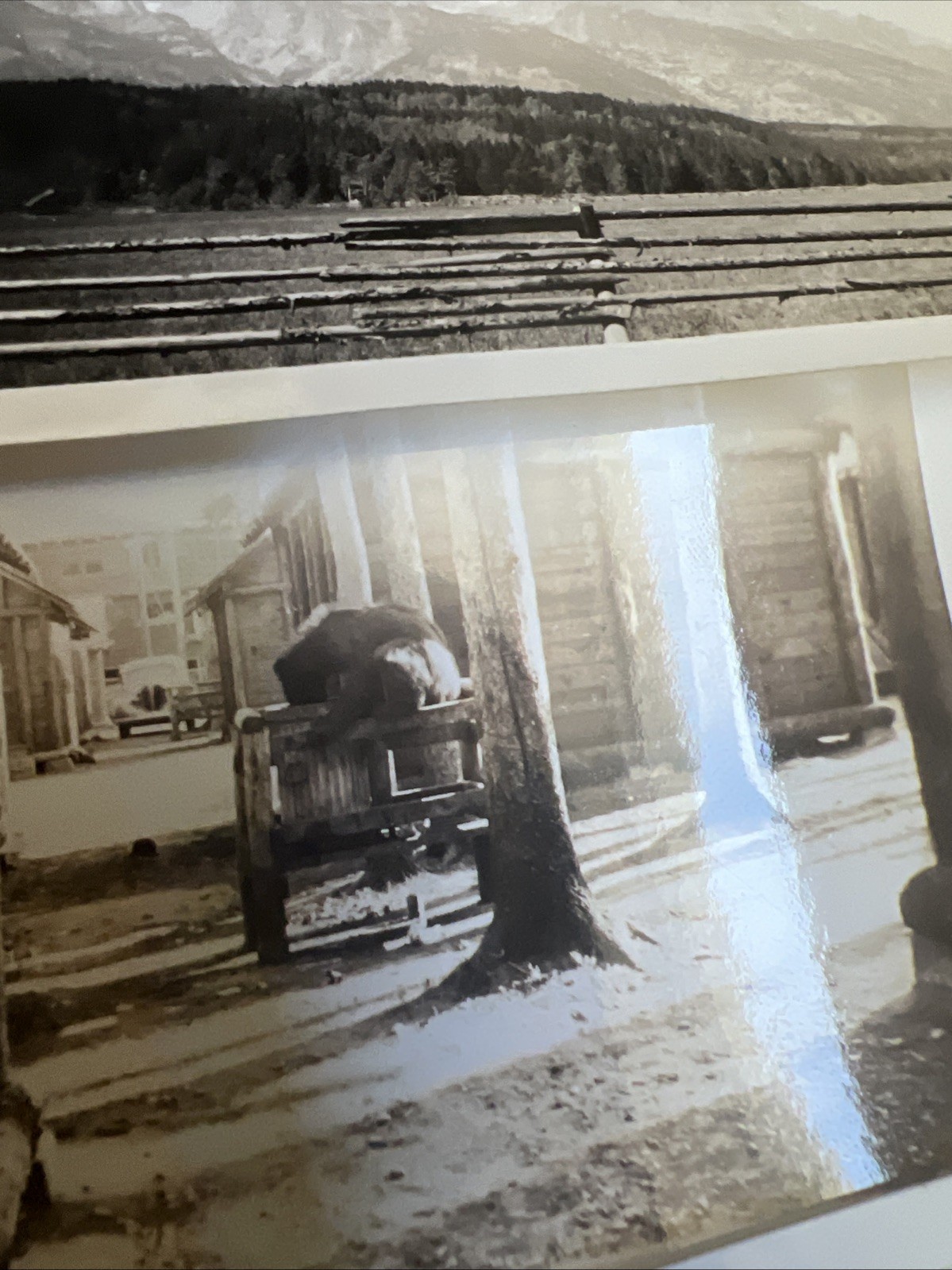 26 VTG 1930s Yellowstone Salt Lake City Utah & Wyoming w Negatives 4.5″ x 2.75″