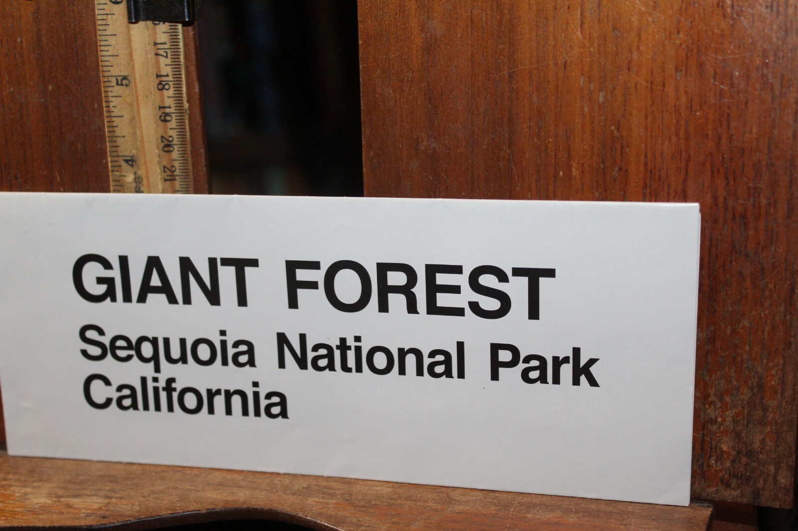 Vintage National Park Brochure 2008 Giant Forest Sequoia California