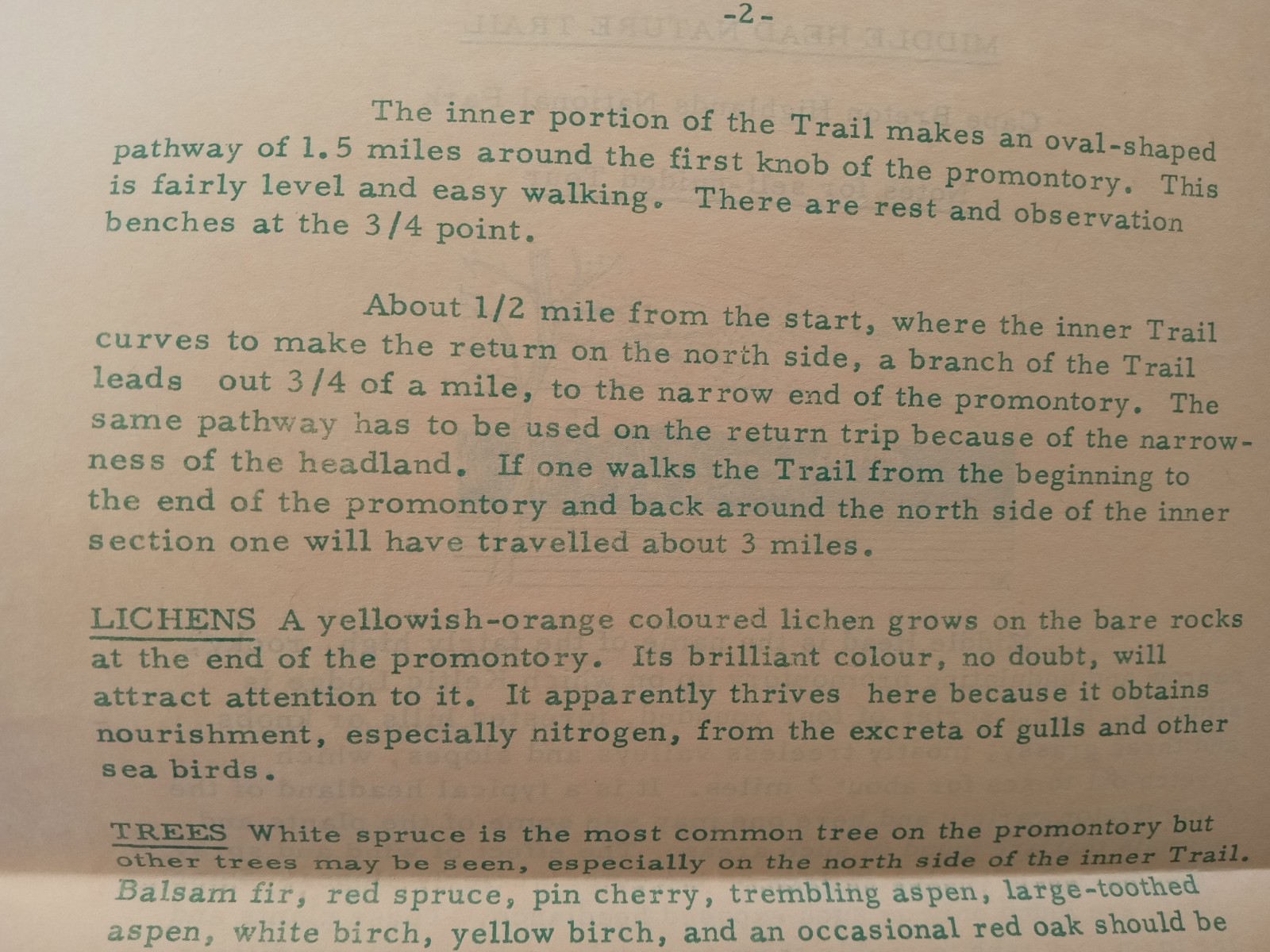 Cape Breton Highlands National Park 1968 MIDDLE HEAD NATURE TRAIL Pamphlet