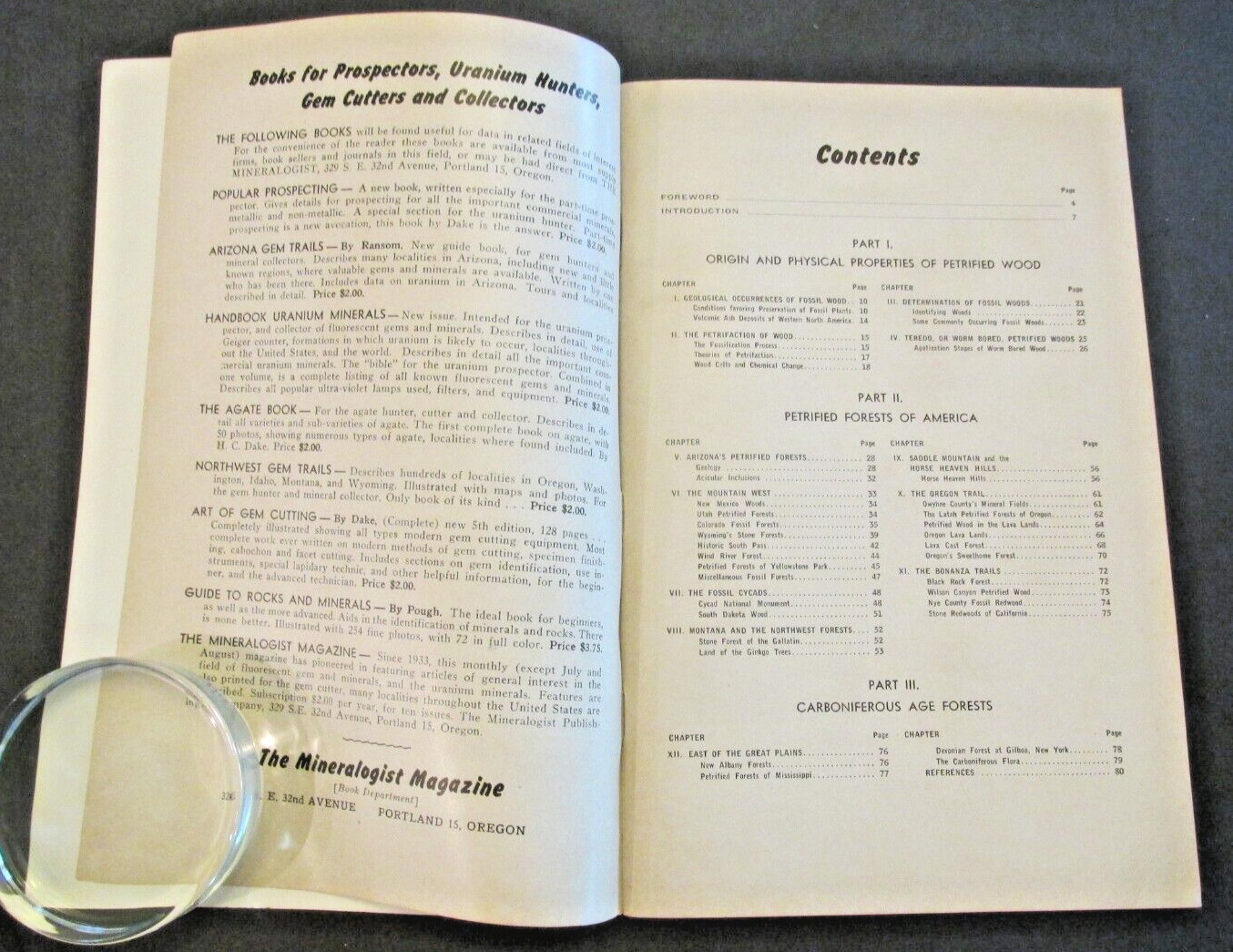VTG 1955 Petrified Forest Trails Jay Ellis Ransom Booklet Pictures References