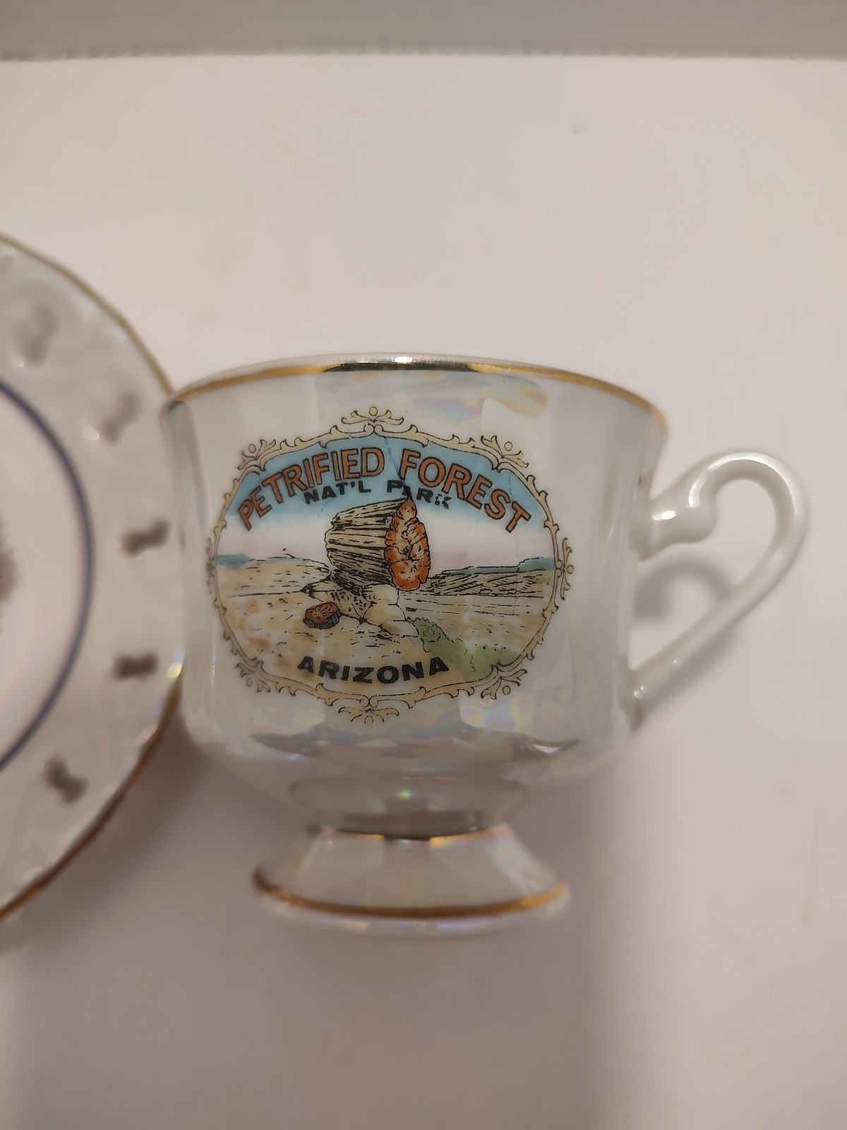 🔥 Vintage Petrified Forest Nat’l Park Souvenir Teacup & Saucer Pearlescent