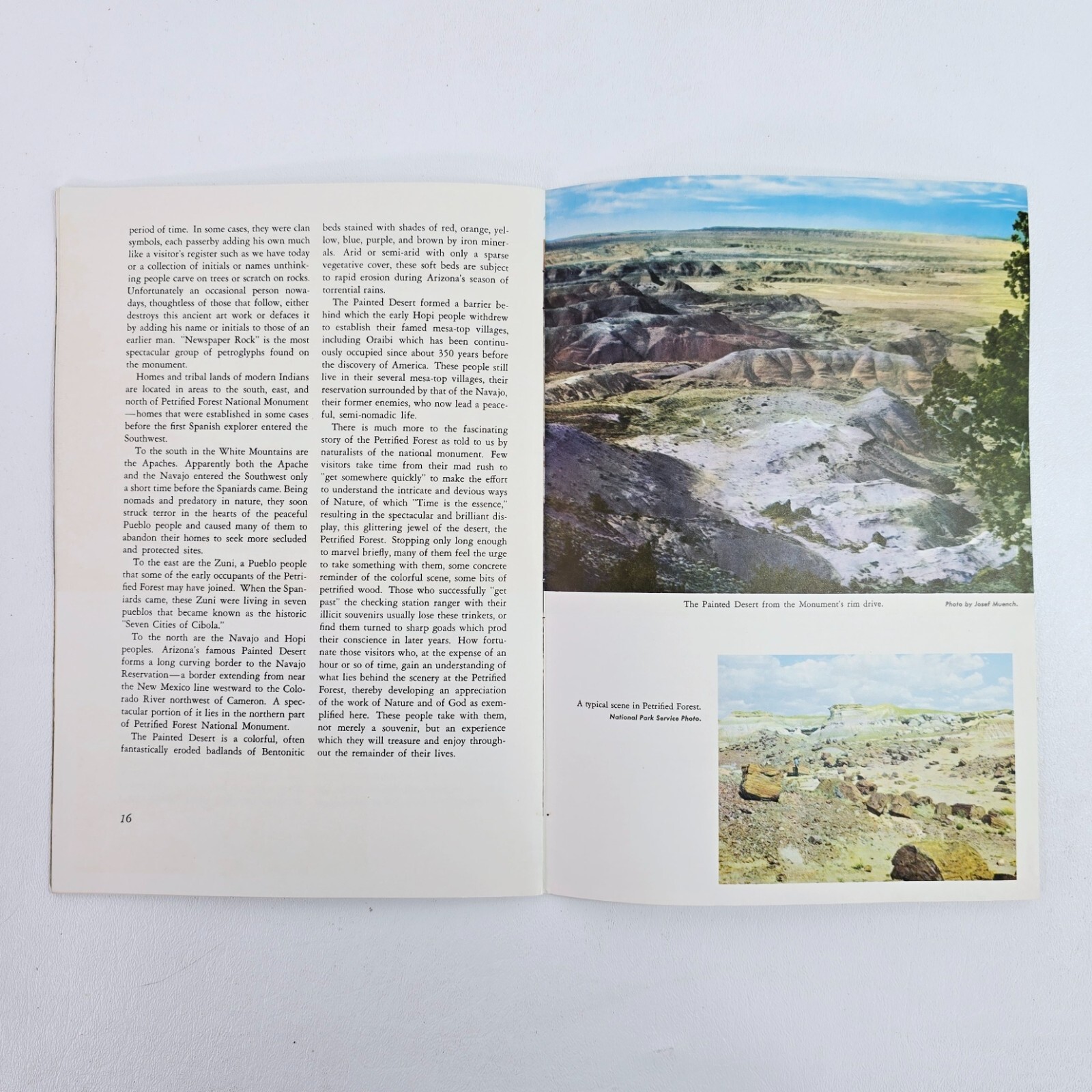 1951 A Story of The Petrified Forest Agatized Rainbows Popular Series No. 3 Book