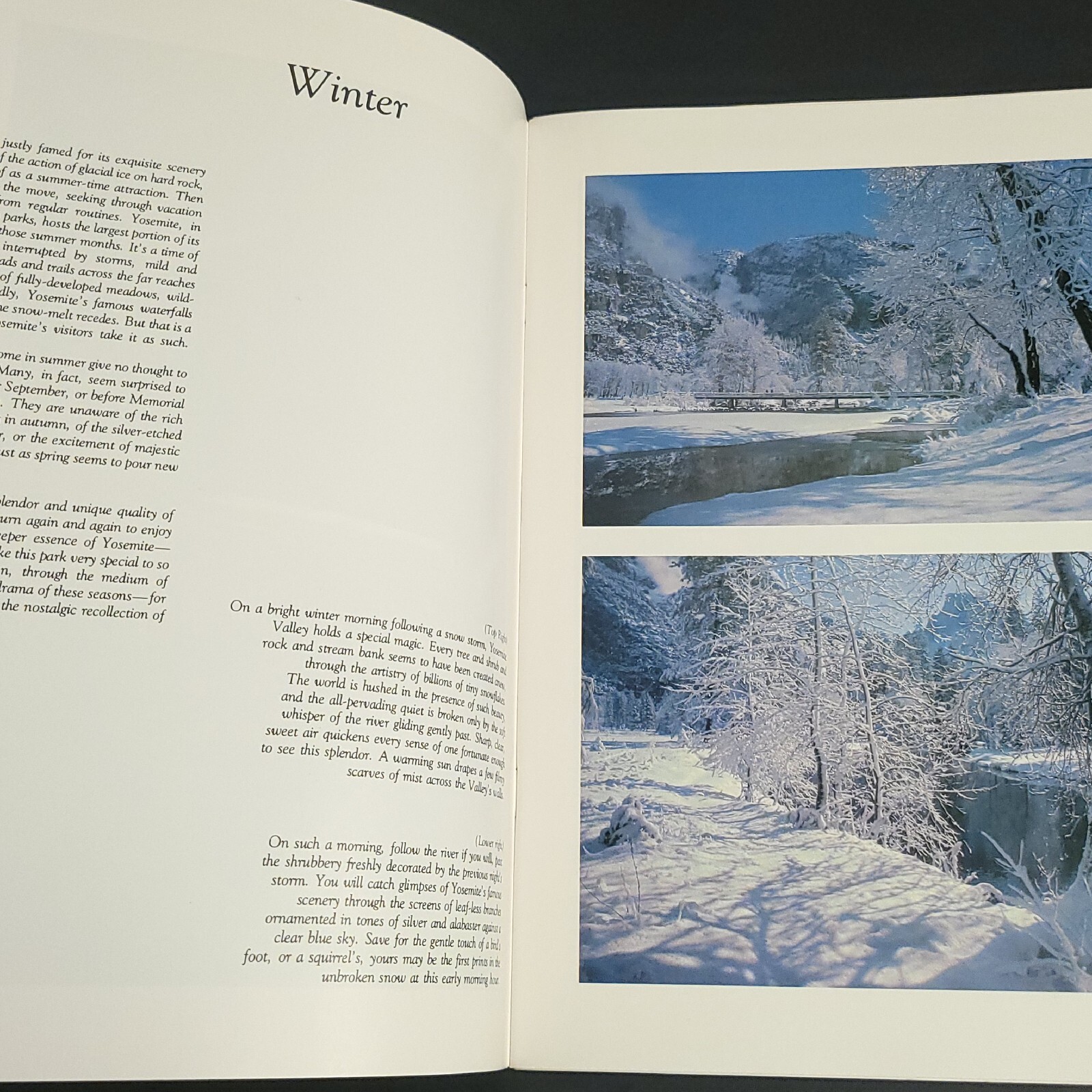 1978 National Park Booklet THE FOUR SEASONS OF YOSEMITE Morgenson Photos Text