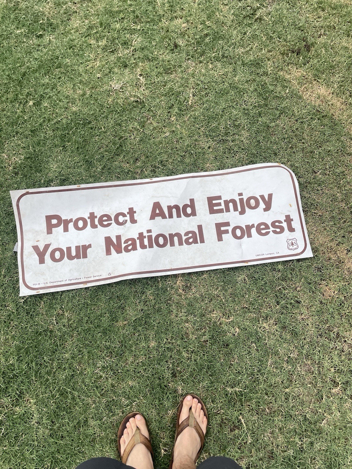 1990s National Forest Service Paper Sign protect And Enjoy Your National Forest