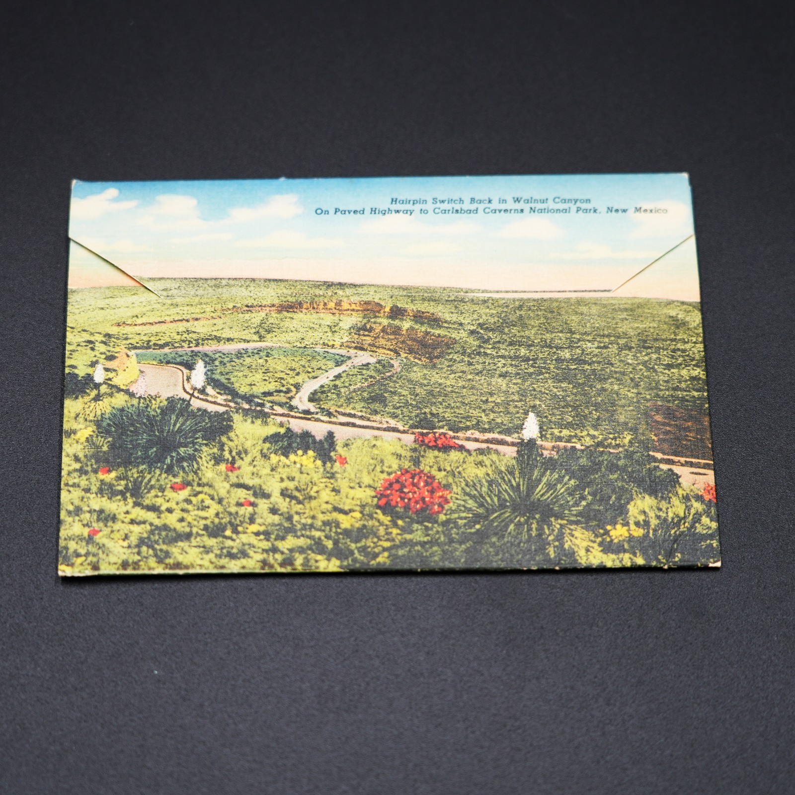 Vintage National Parks Lot Yosemite 1953 Brochure Carlsbad Caverns 12 Postcards
