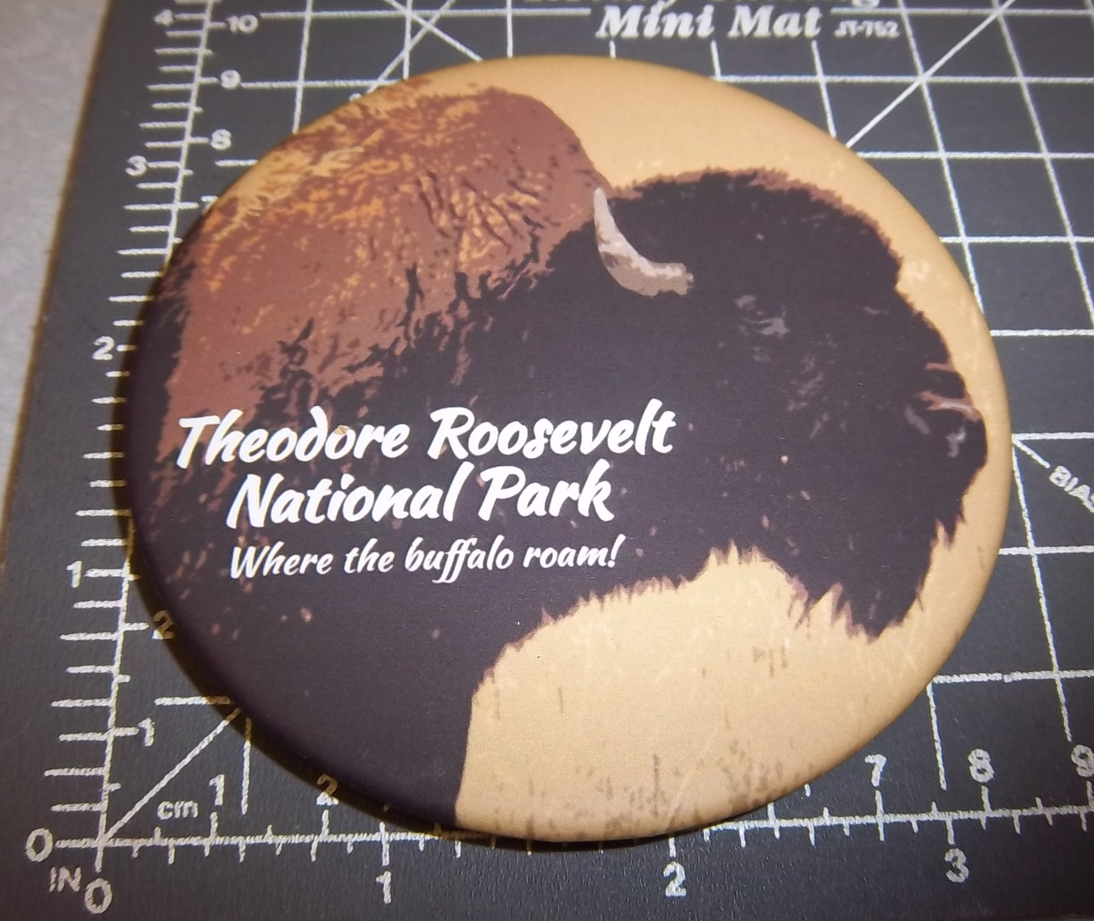Teddy Roosevelt National Park – North Dakota collectors Magnet, buffalo roam…