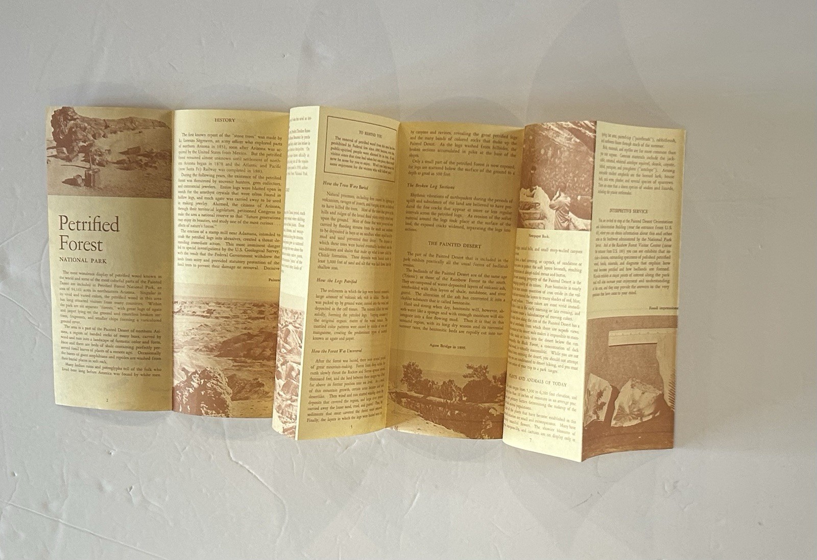 Lot Of Vintage Outdoor and Travel National Parks Ephemera and Maps
