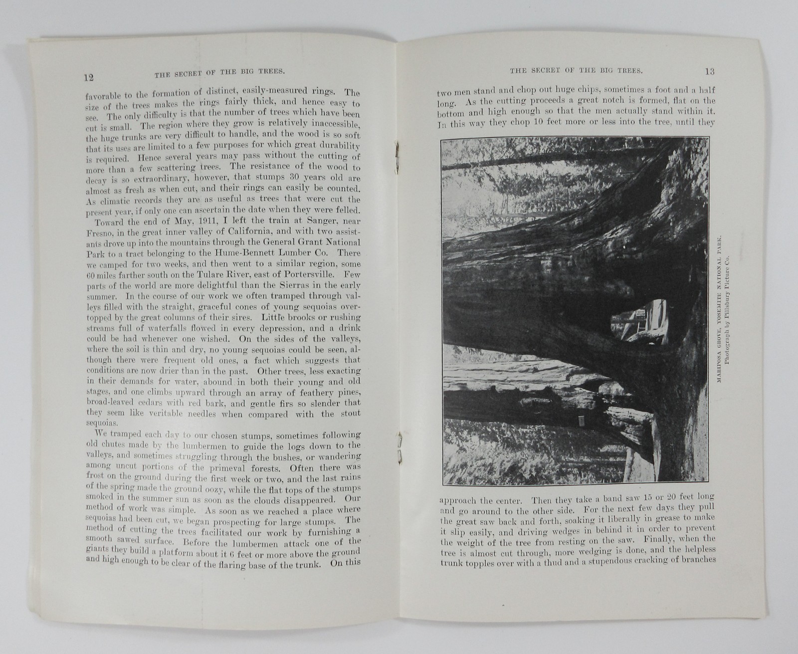 Yosemite Sequoia General Grant National Park Secret Big Trees Booklet DOI 1913