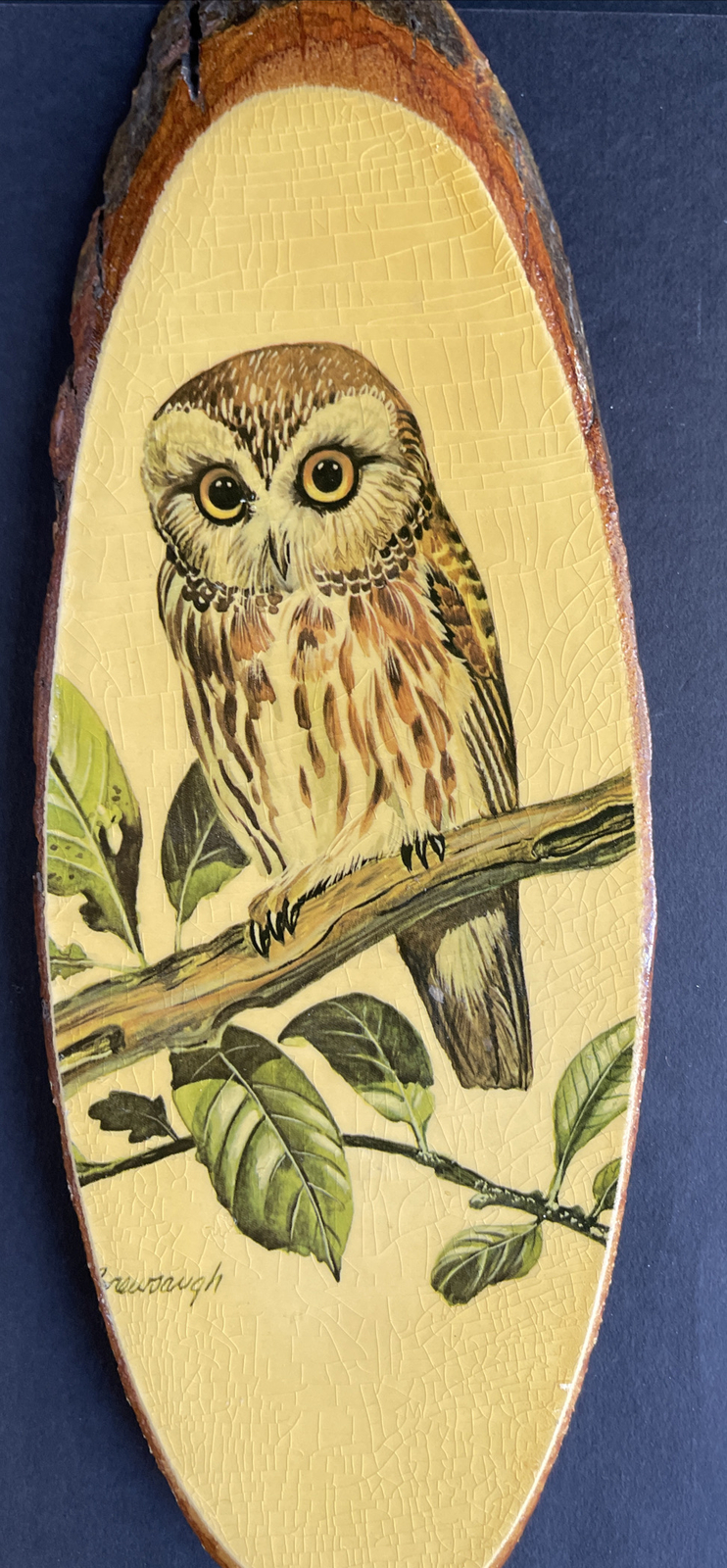 Wall Plaque Wood Slab “Owl” Souvenir Natural Wild Life “Missouri” Home Decor