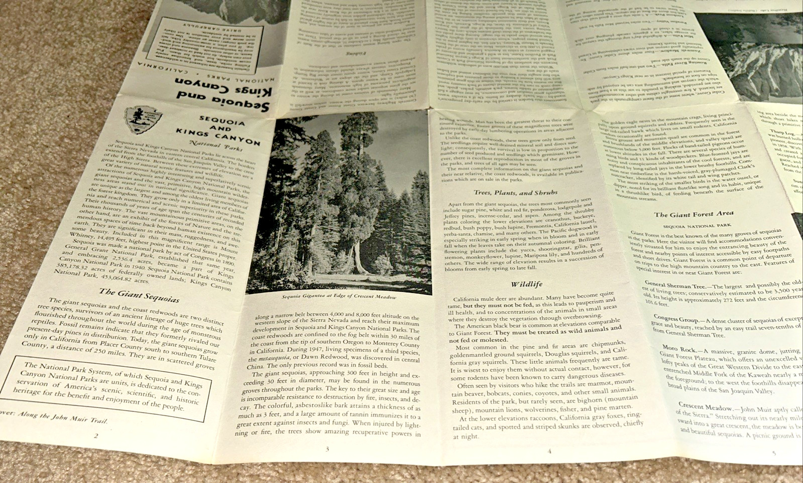 2 Vintage SEQUOIA NATIONAL PARK Brochures US Dept of Interior 1954 & 1957