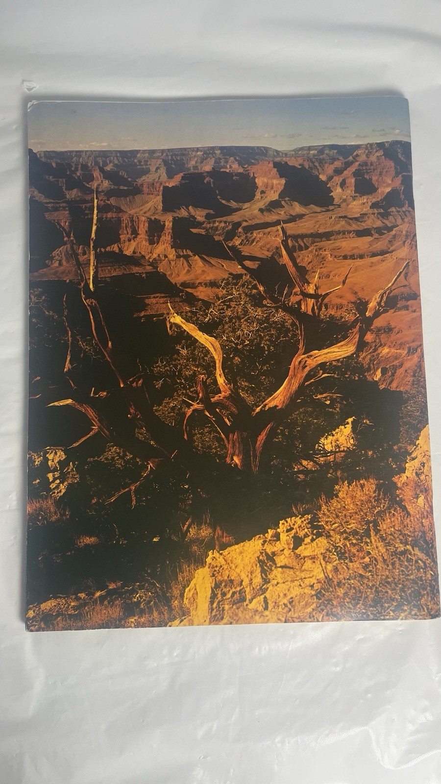 Vintage 1977 Grand Canyon National Park, Color National Parkway Photo Guide
