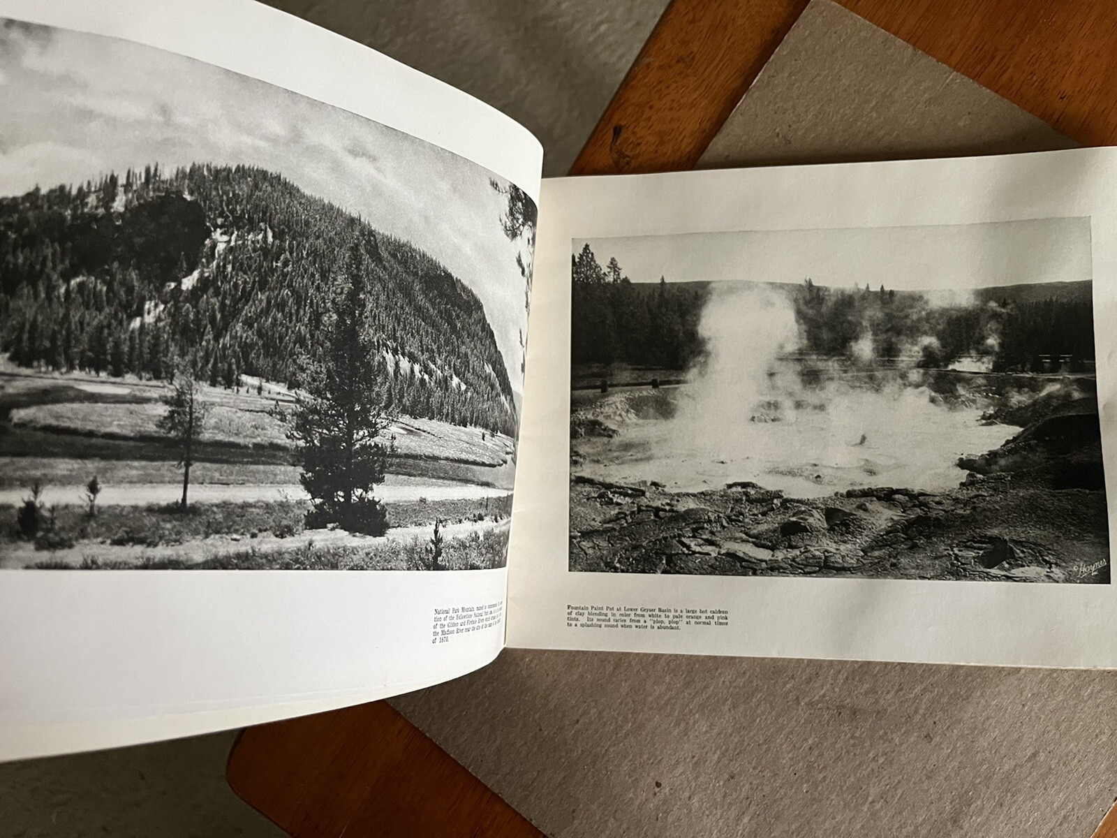 Vintage 1940 Hayne ‘ s Souvenir Album Yellowstone National Park B&W Photo Album