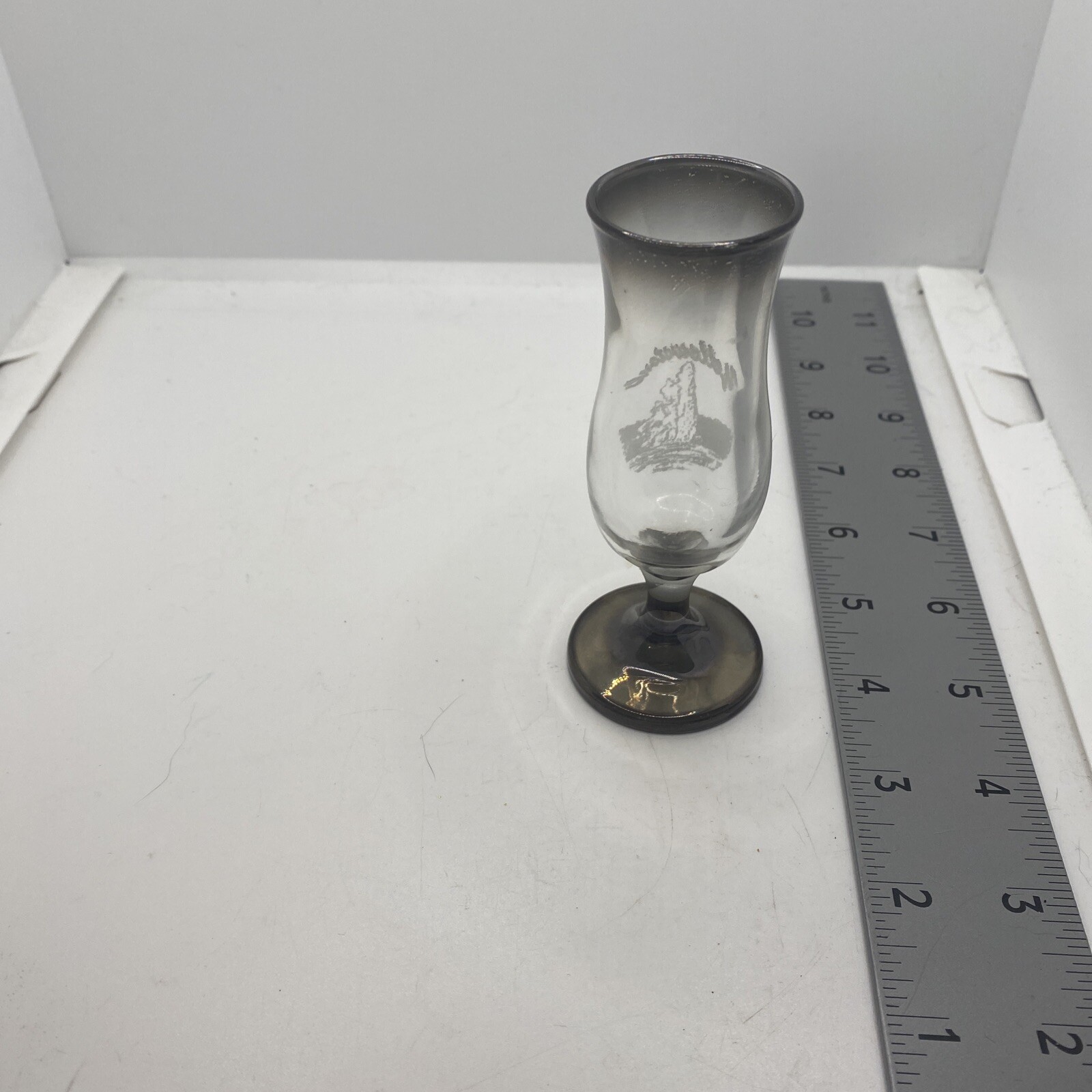 Yellowstone National Park Etched Glass or Vase 61B-868F