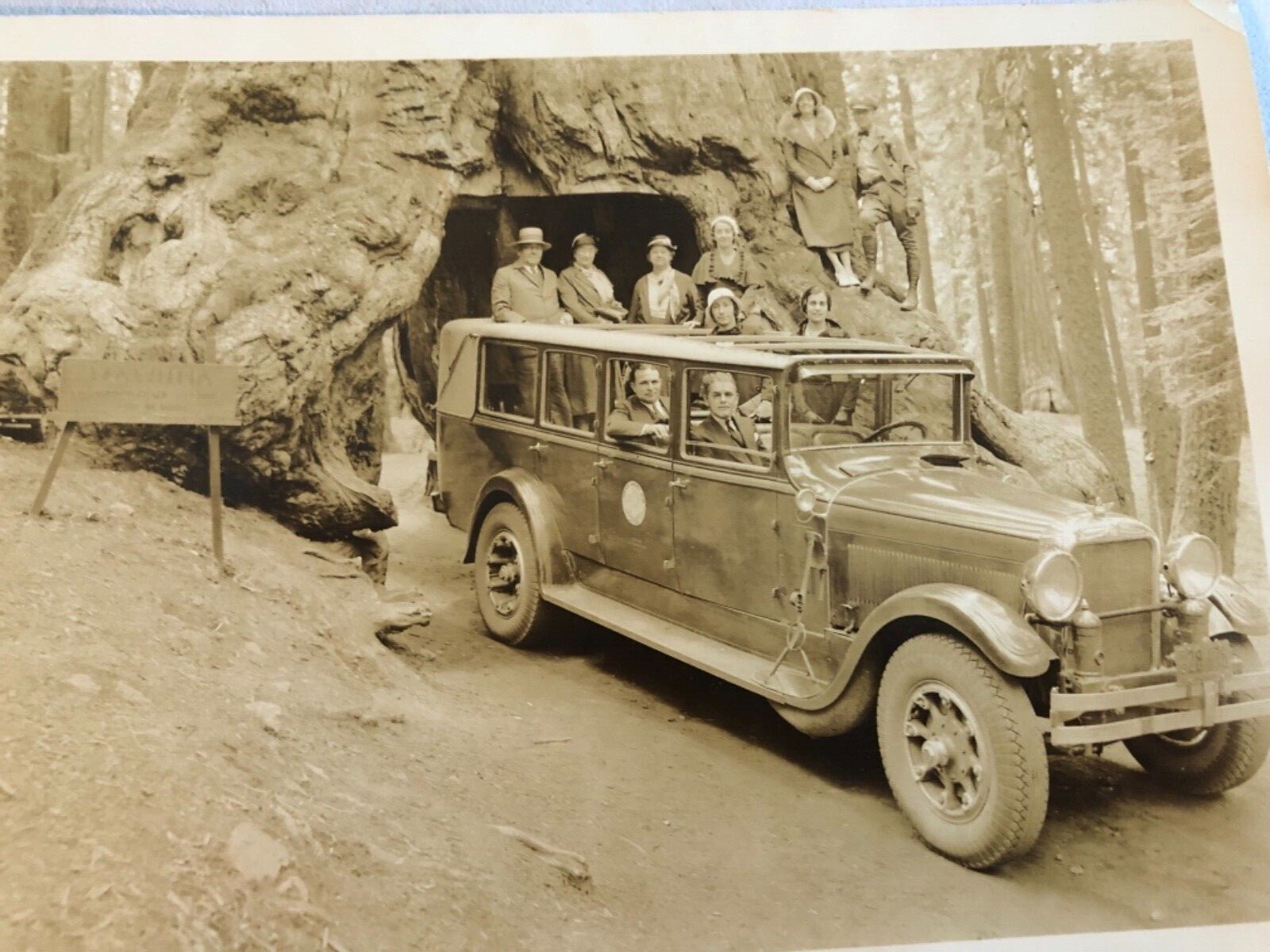 Antique Souvenir Tourist 5”x7” Photo Card Yosemite Park & Curry Co Dated 1932