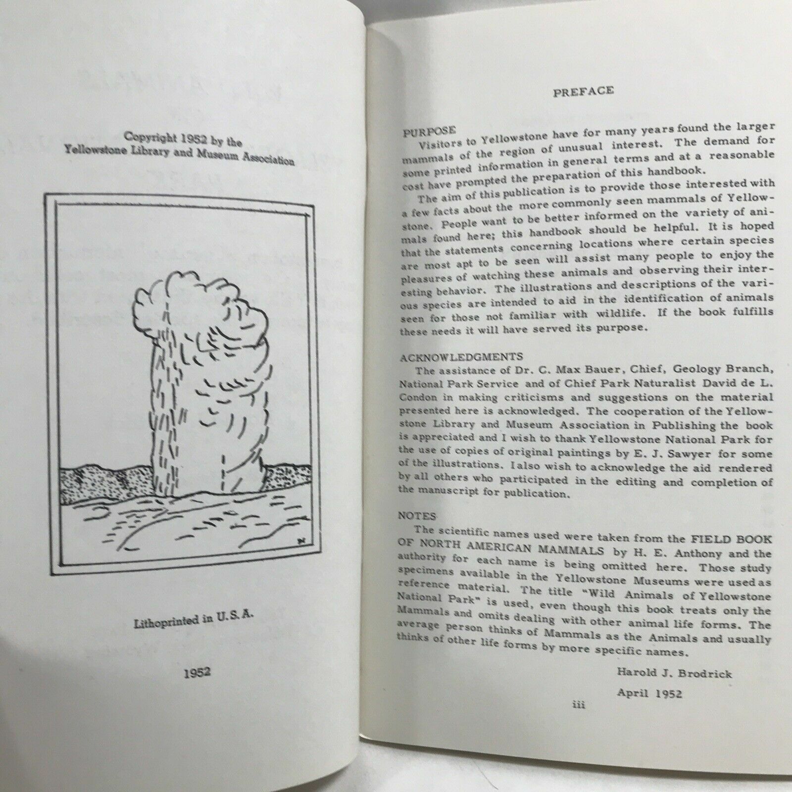 1952 WILD ANIMALS OF YELLOWSTONE NATIONAL PARK by Harold J. Brodrick Booklet