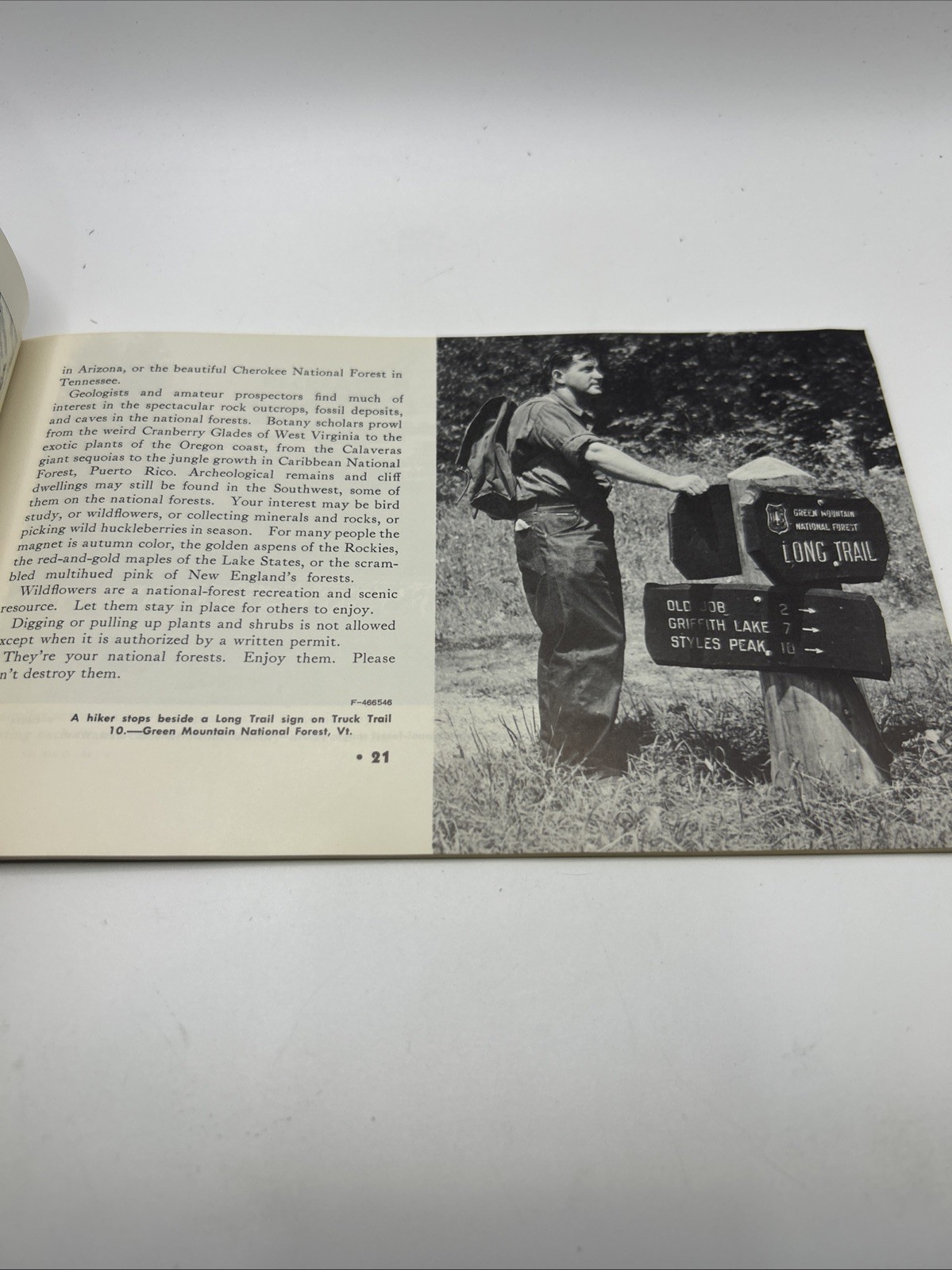 1960 NATIONAL FOREST VACATION Book Parks by State Scenic Drives Picnics Guide