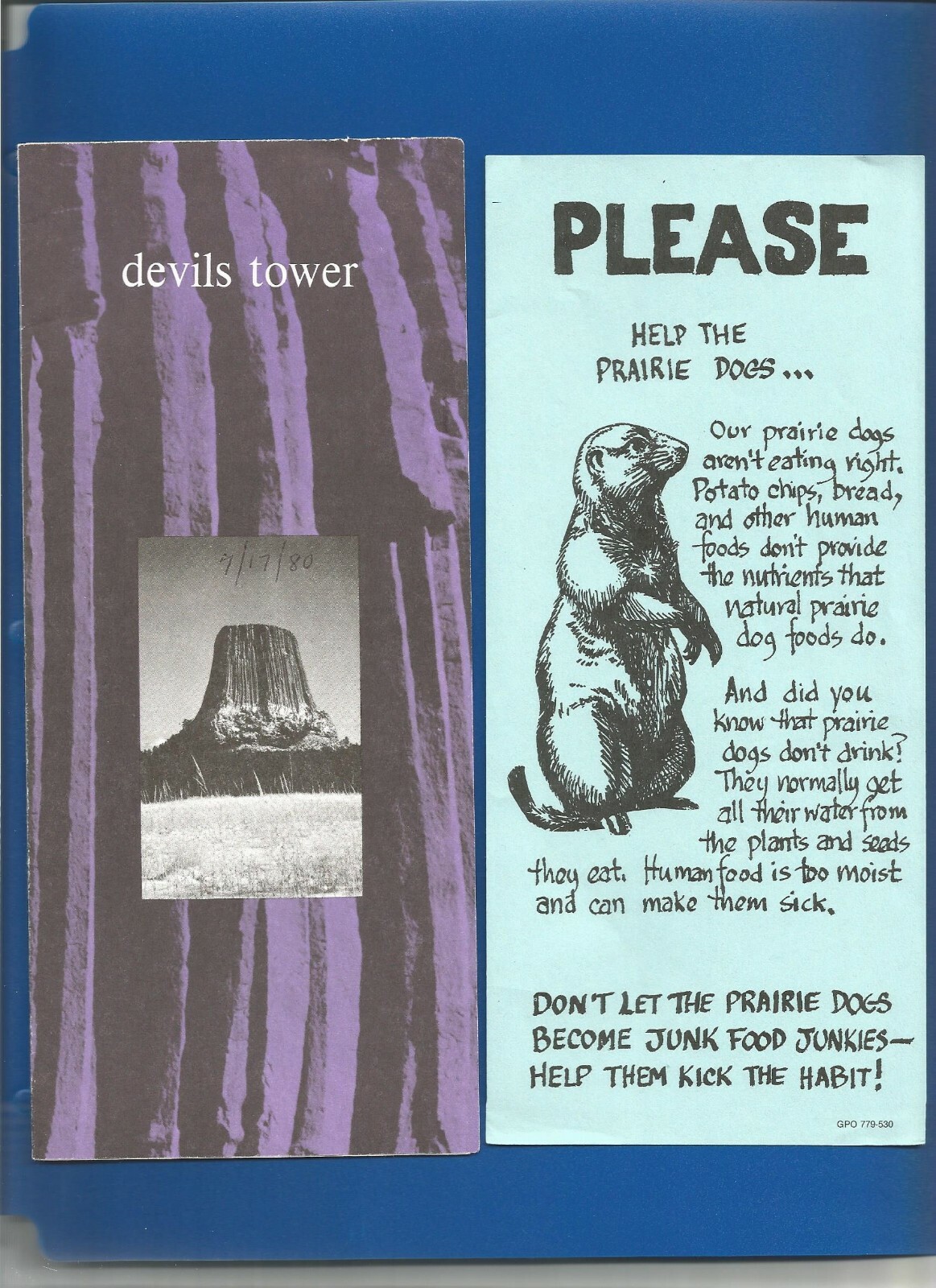NATIONAL PARK SERVICE DEVILS TOWER WY BROCHURE/FLYER WITH PRAIRIE DOG 1975