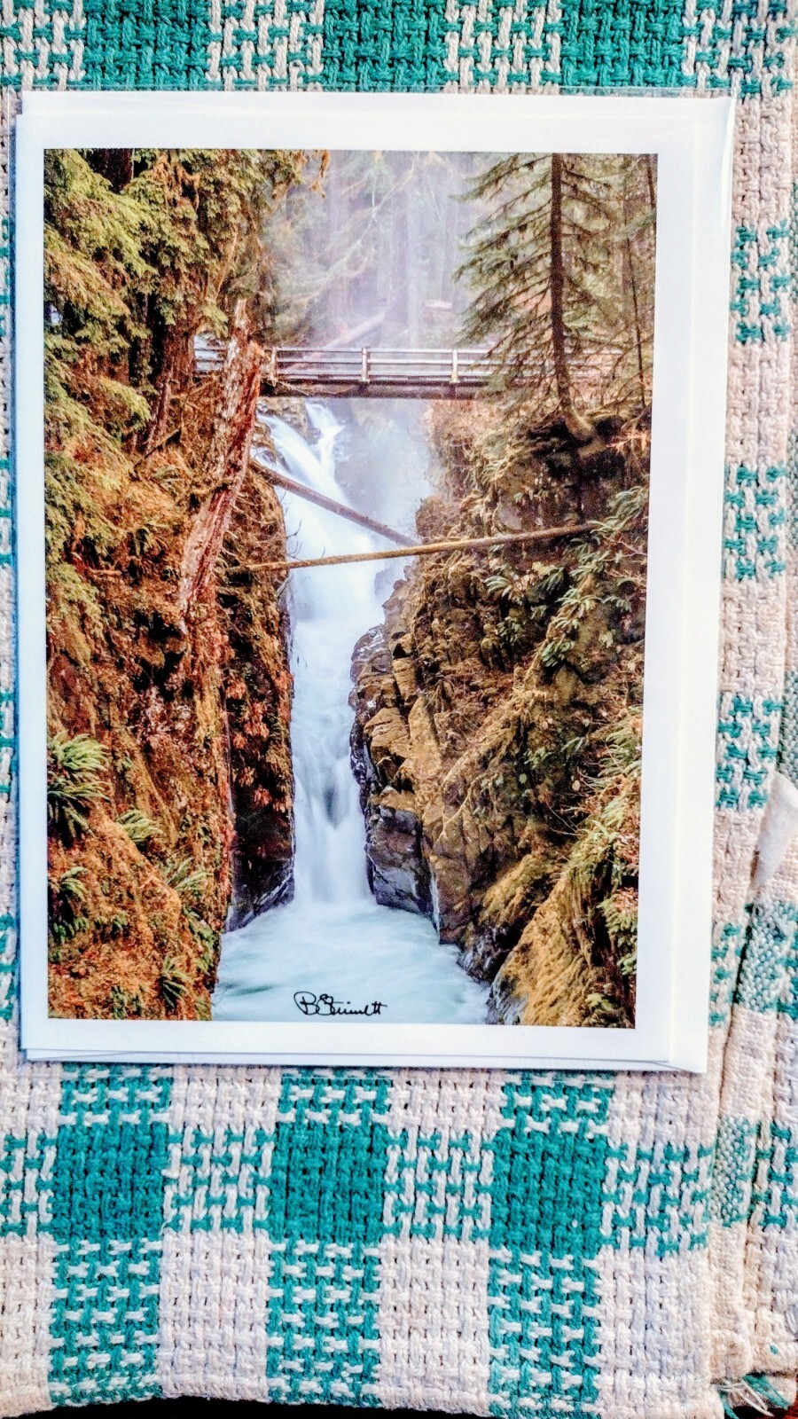8 X 10 GREETING CARD “SOL DUC FALLS” OLYMPIC NATIONAL PARK WASHINGTON PACIFIC