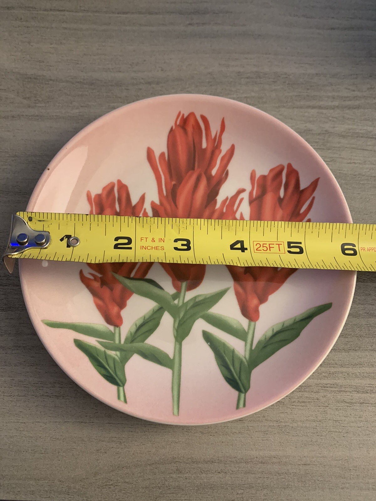 YOSEMITE FLORAL DESSERT PLATES: SET OF 4 YOSEMITE DNC PARKS AND RESORTS 6” NIB