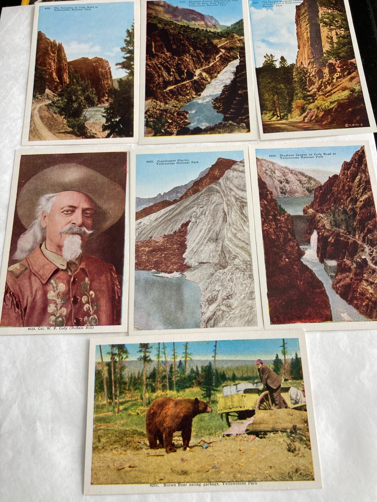 YELLOWSTONE NATIONAL PARK Box of Photo-Tint Postcards (43 of 50) Cody Wyoming