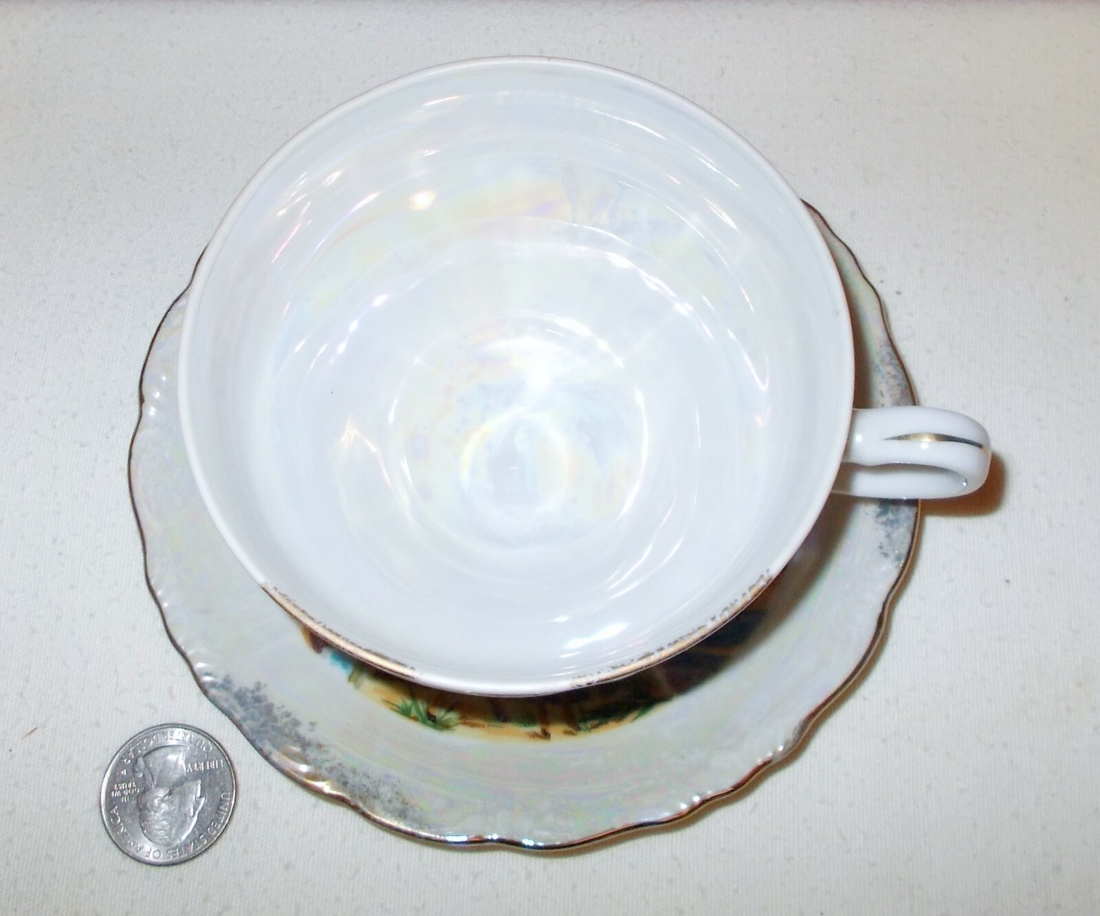 VTG Victoria Ceramics YELLOW STONE NATIONAL PARK CUP & SAUCER Luster Ware +