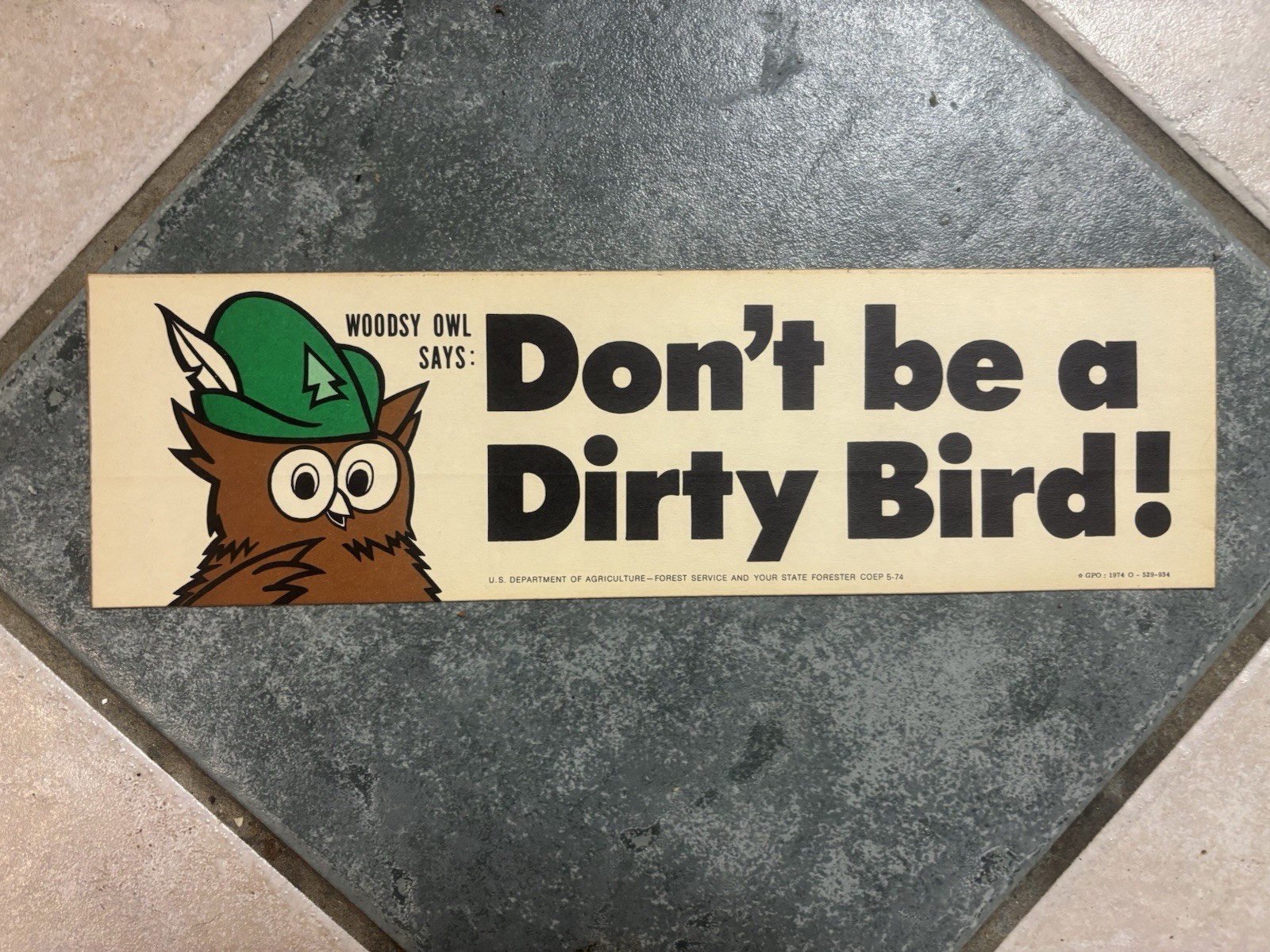 Vintage Woodsy Owl Bumper Sticker- 1974 “Don’t Be A Dirty Bird”