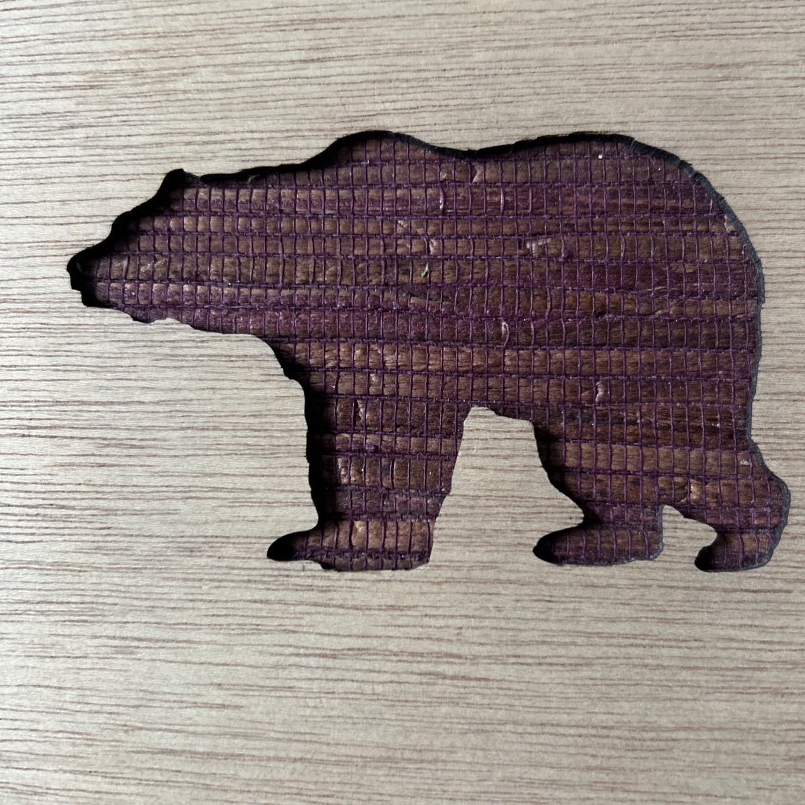 Yellowstone Souvenir Photo Album Rustic Wood Bark Bear 10 Pages 40 Pics NEW