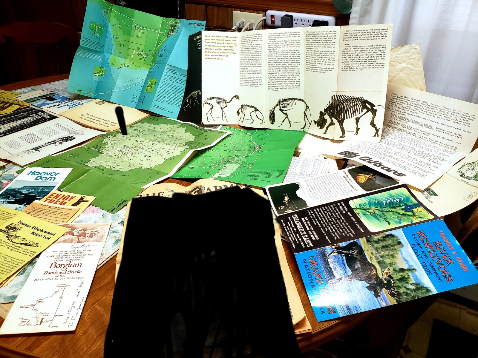 1970’s Parks Brochures & Maps Lot – Yosemite, Death Valley, Everglades, etc.